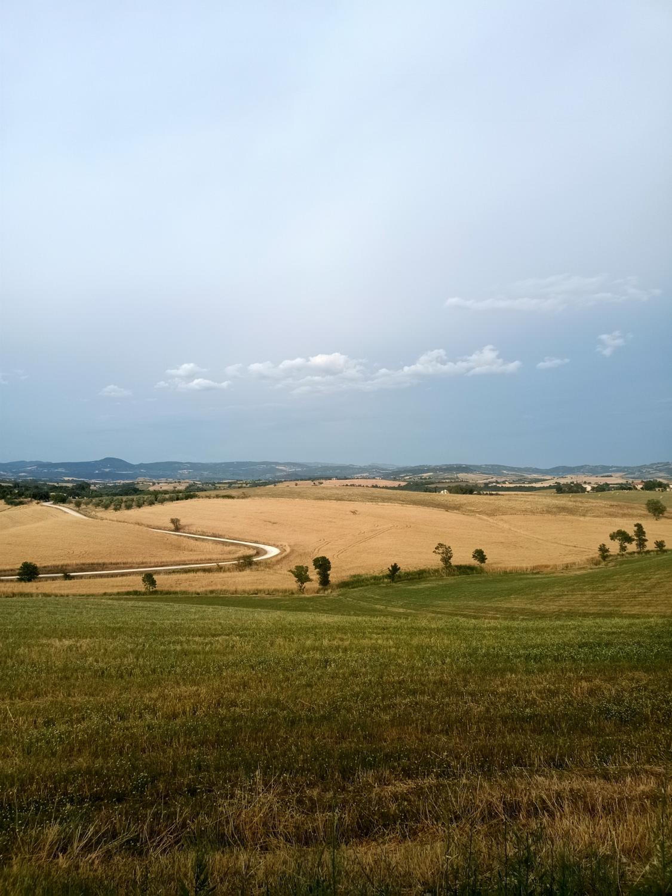 Agriturismo La Locandiera
