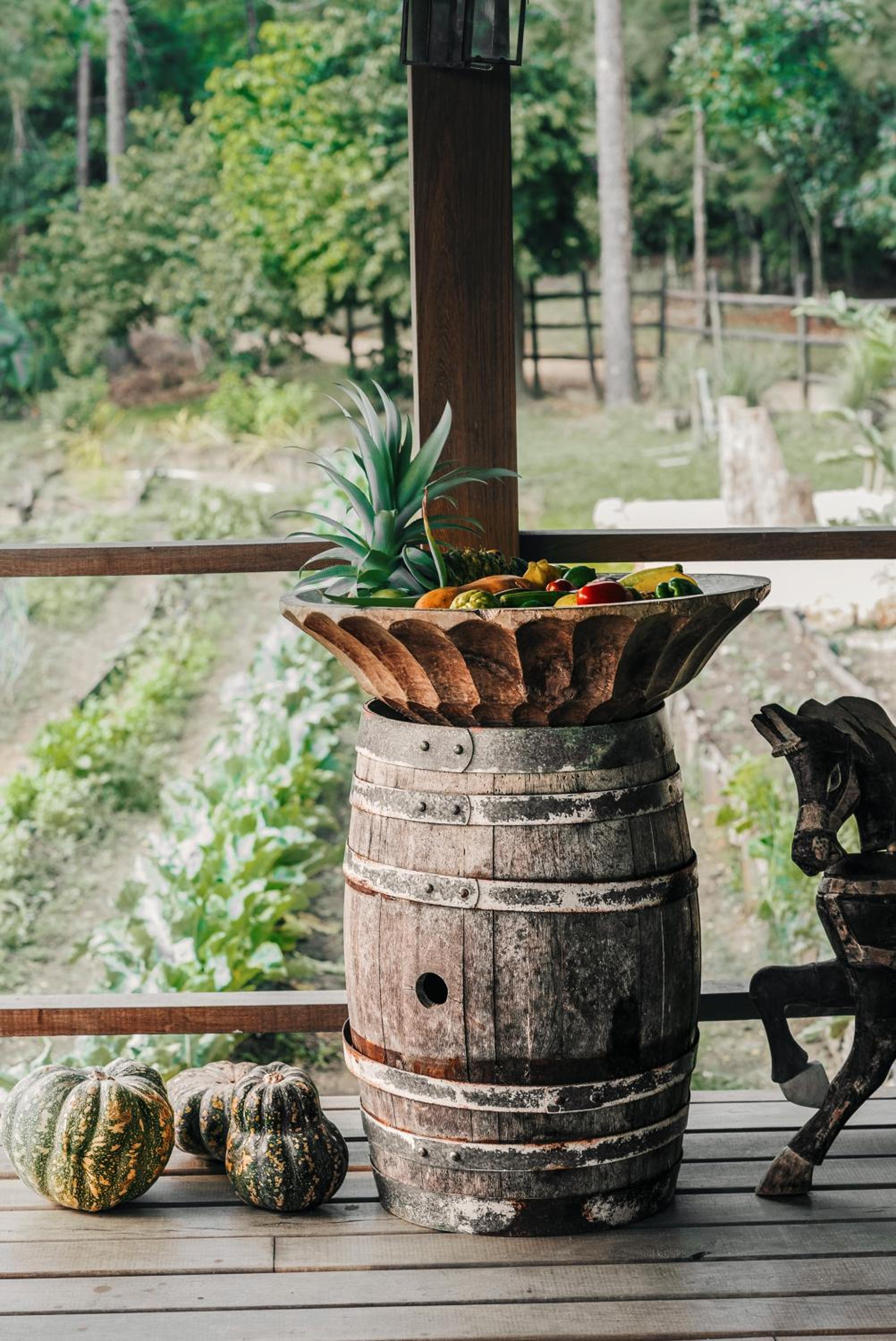 Belize Vacations - Blancaneaux Lodge by Francis Ford Coppola - Property Image 77