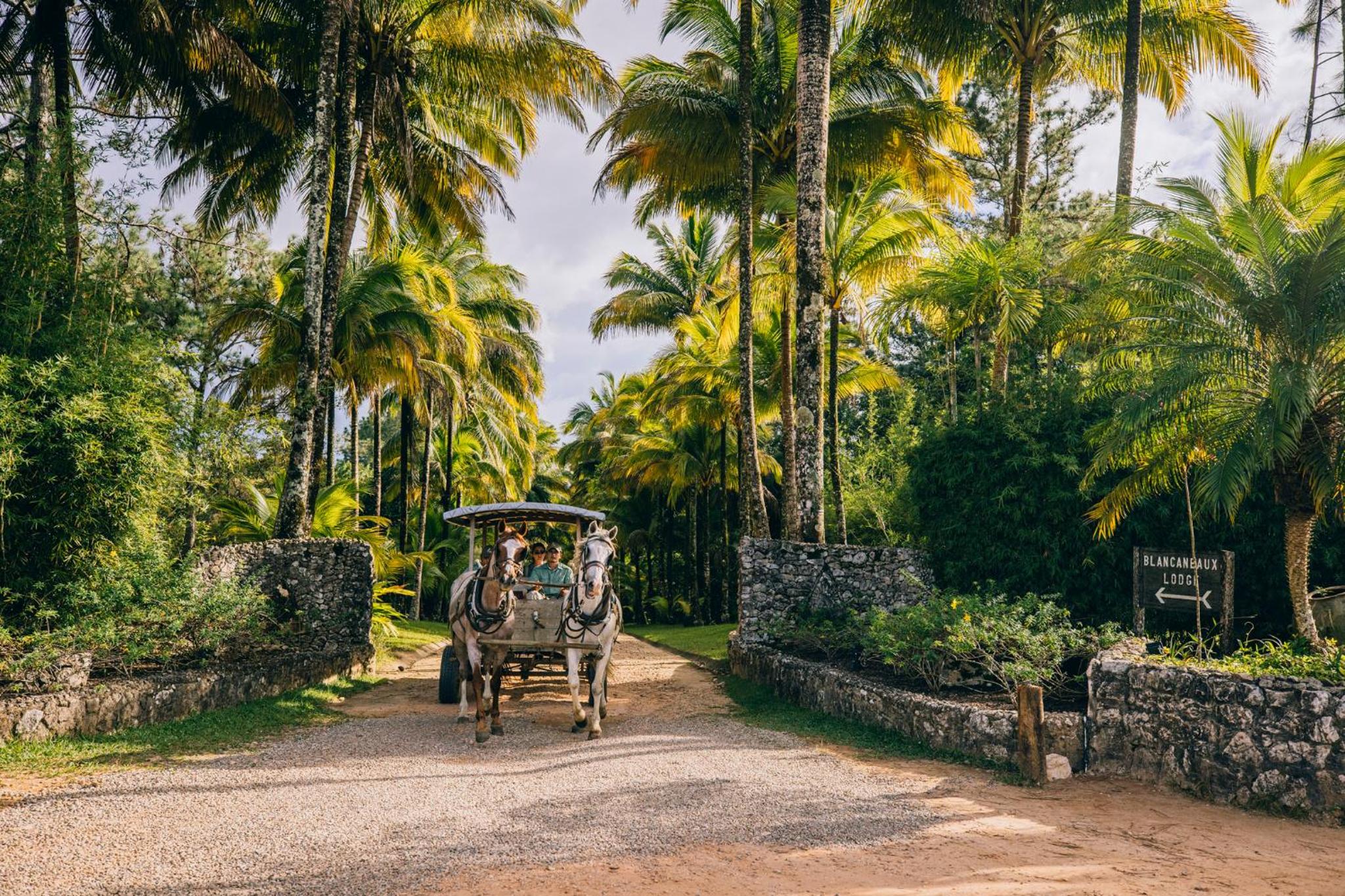Belize Vacations - Blancaneaux Lodge by Francis Ford Coppola - Property Image 25