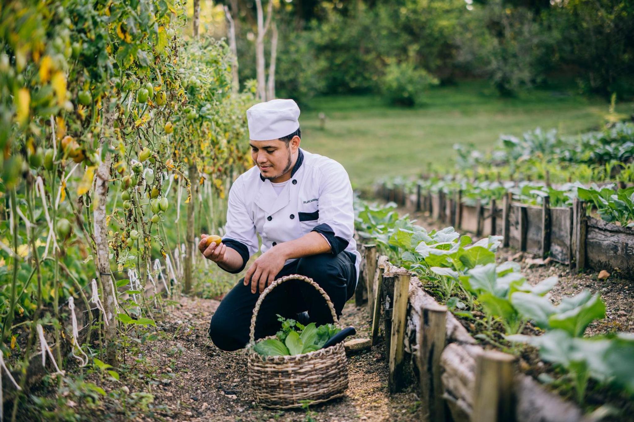Belize Vacations - Blancaneaux Lodge by Francis Ford Coppola - Property Image 69