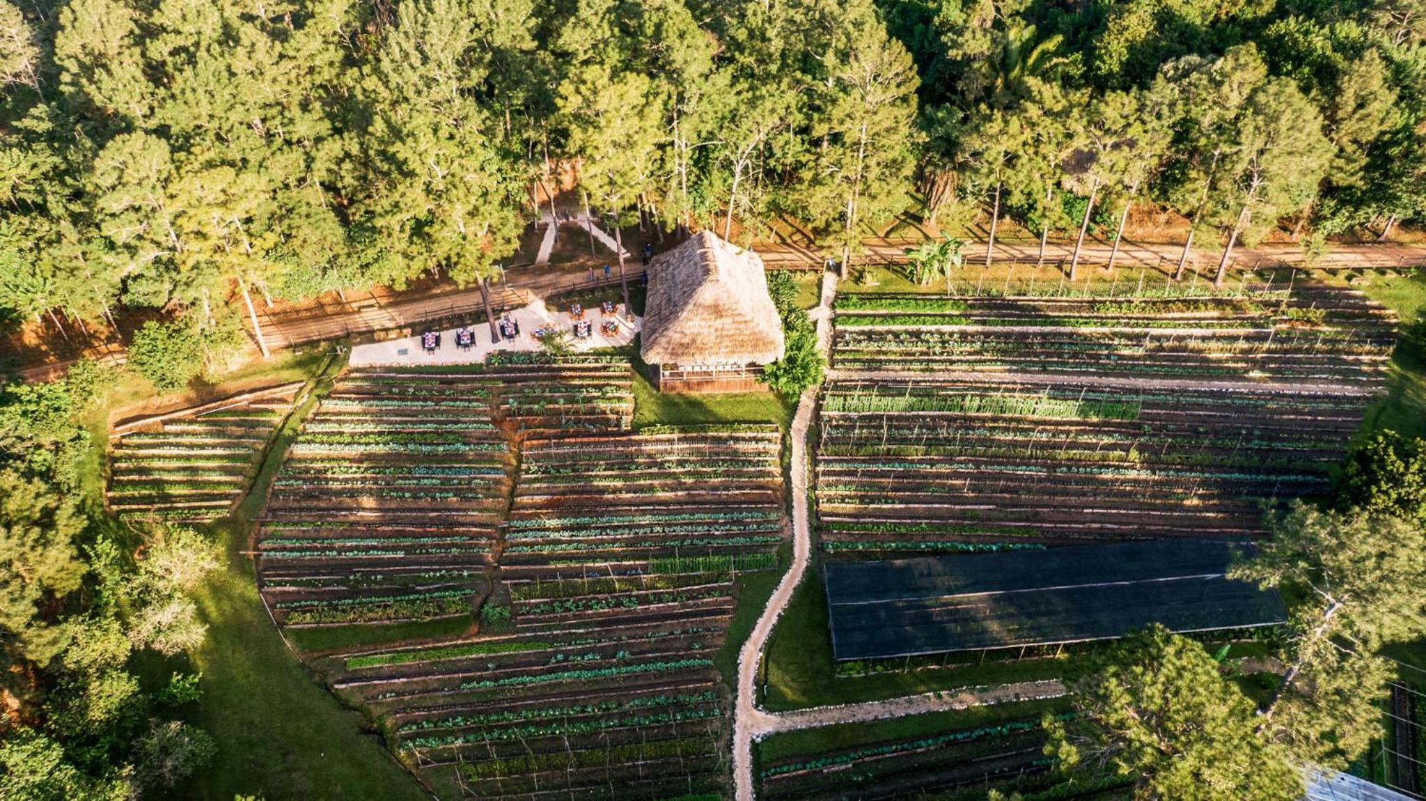 Belize Vacations - Blancaneaux Lodge by Francis Ford Coppola - Property Image 16