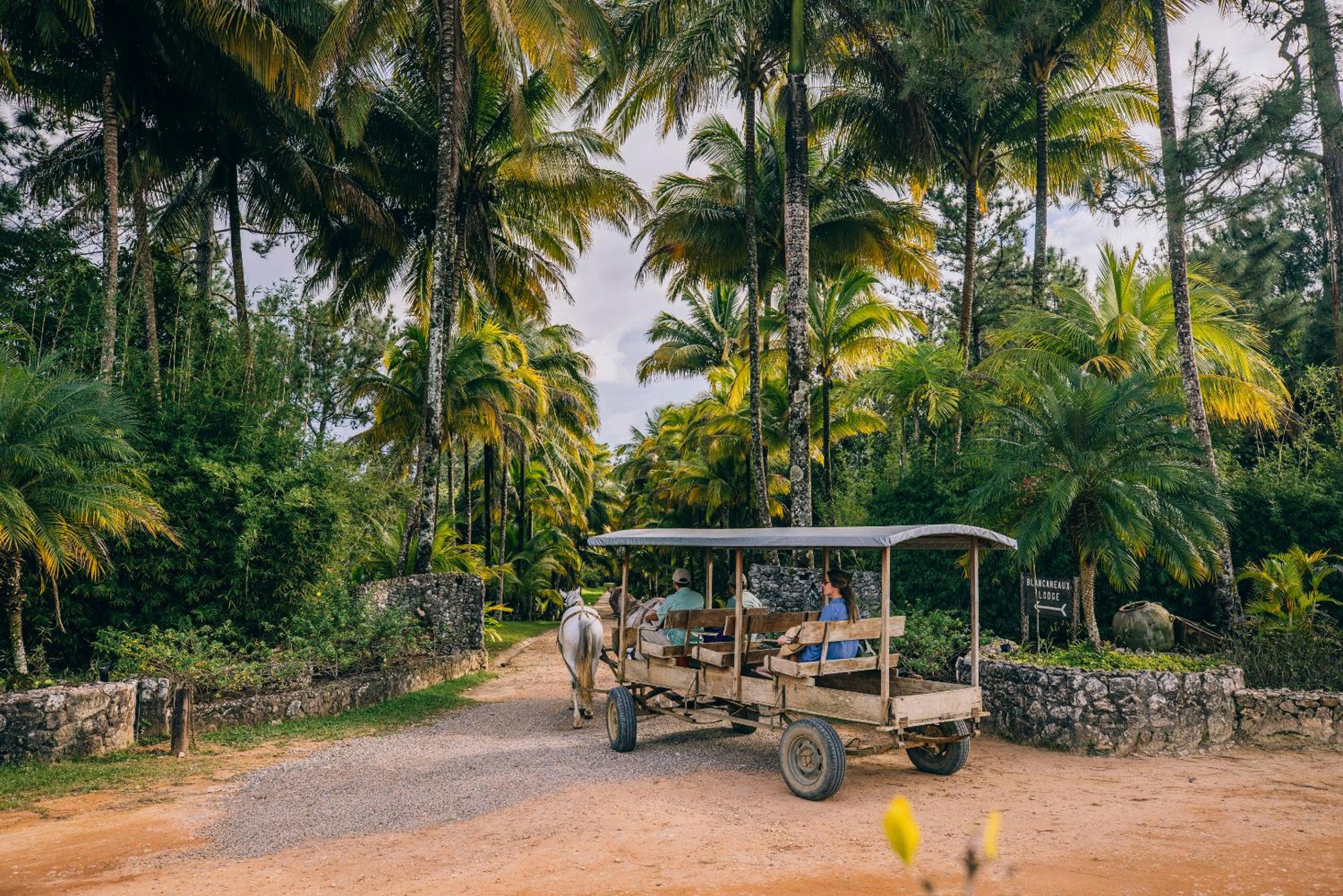 Belize Vacations - Blancaneaux Lodge by Francis Ford Coppola - Property Image 8