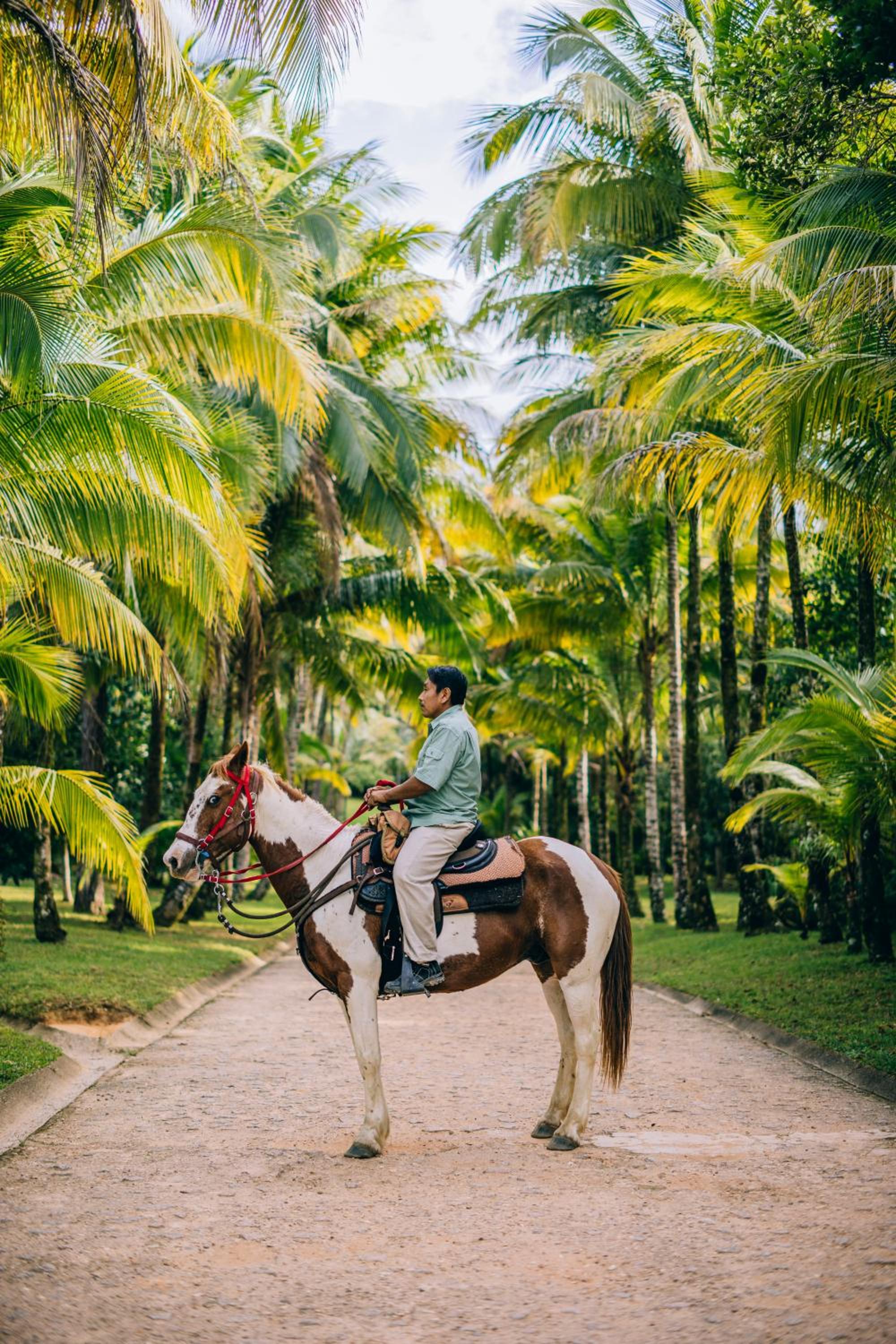 Belize Vacations - Blancaneaux Lodge by Francis Ford Coppola - Property Image 9