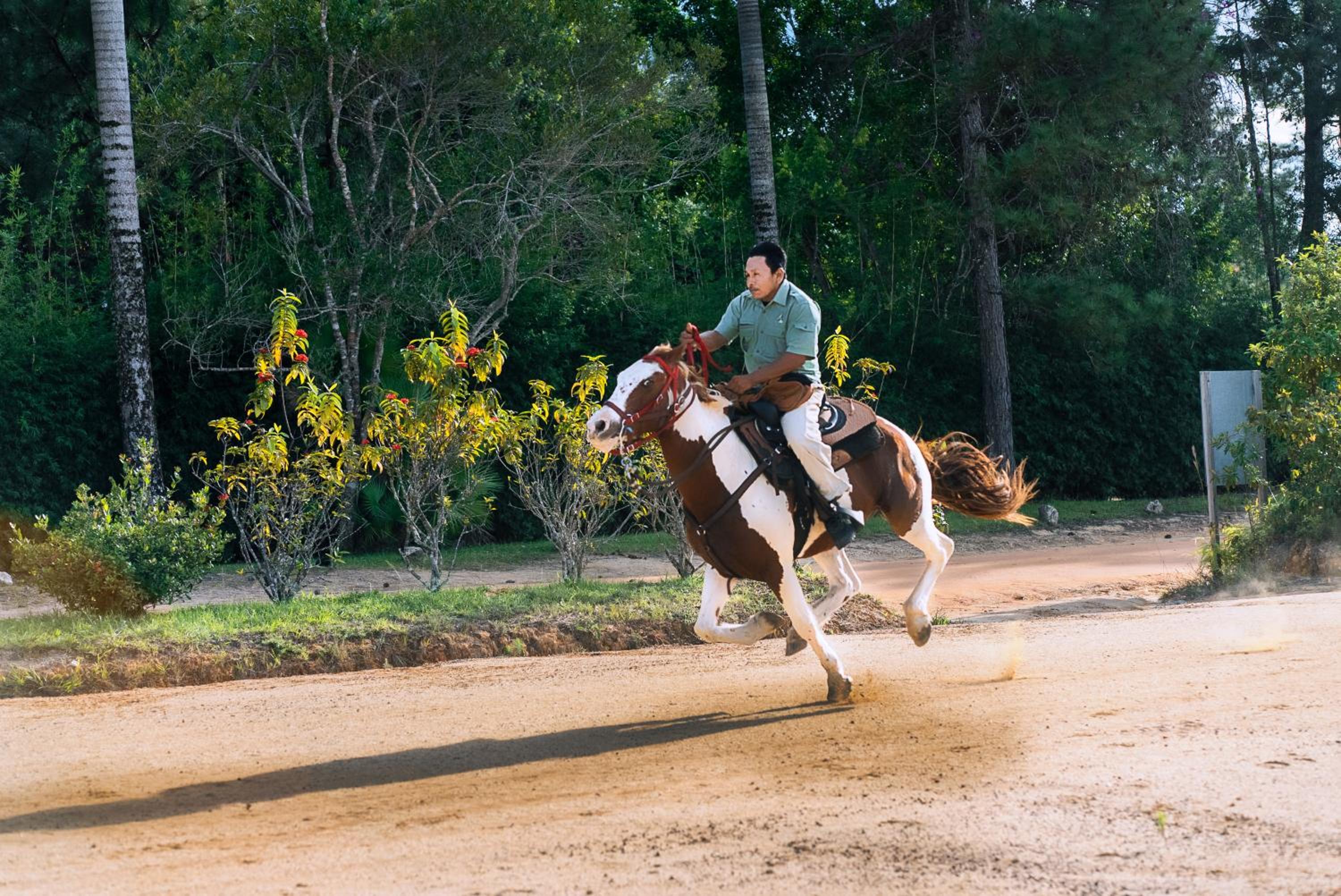 Belize Vacations - Blancaneaux Lodge by Francis Ford Coppola - Property Image 7