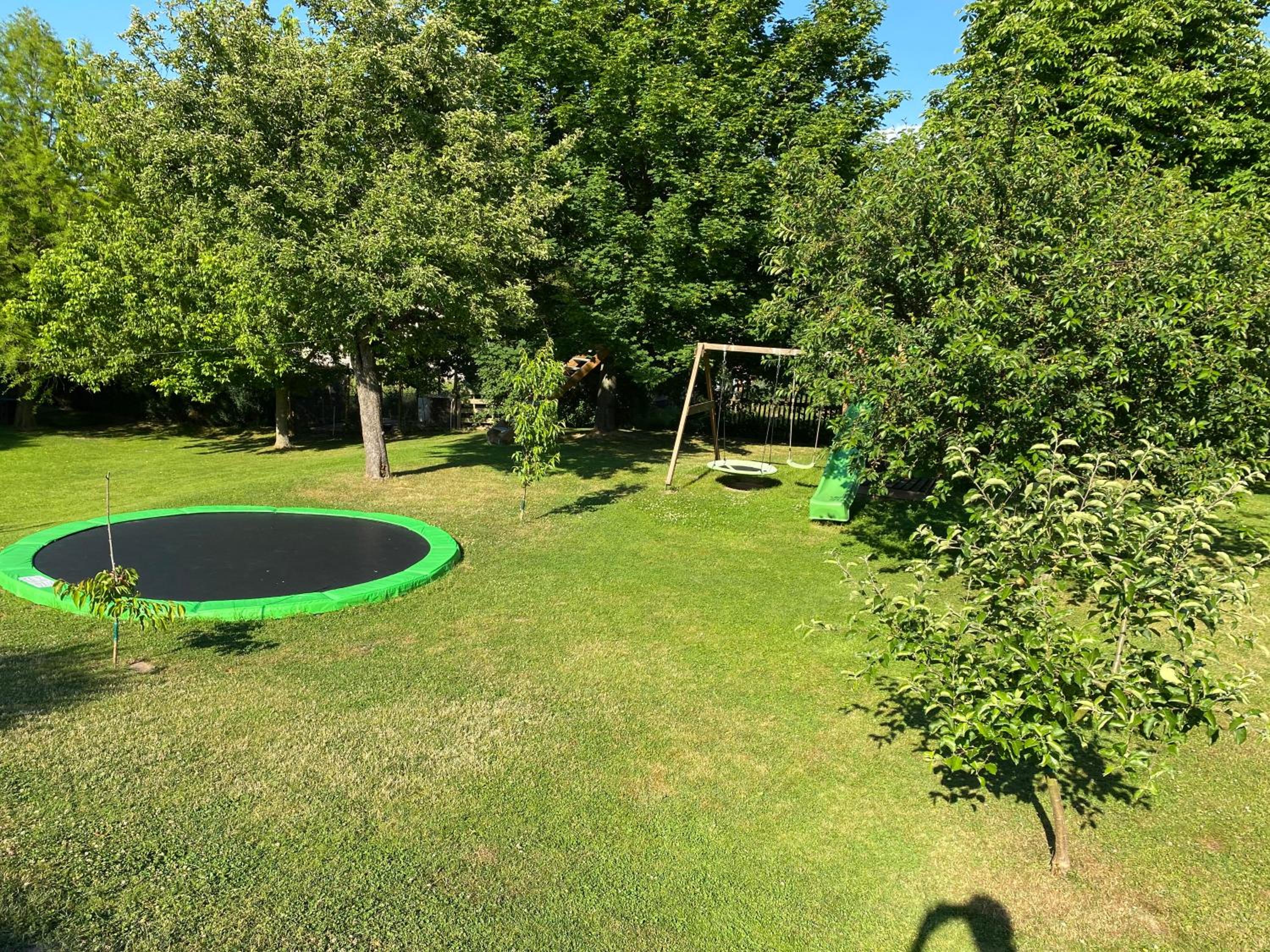 Haflingerstall