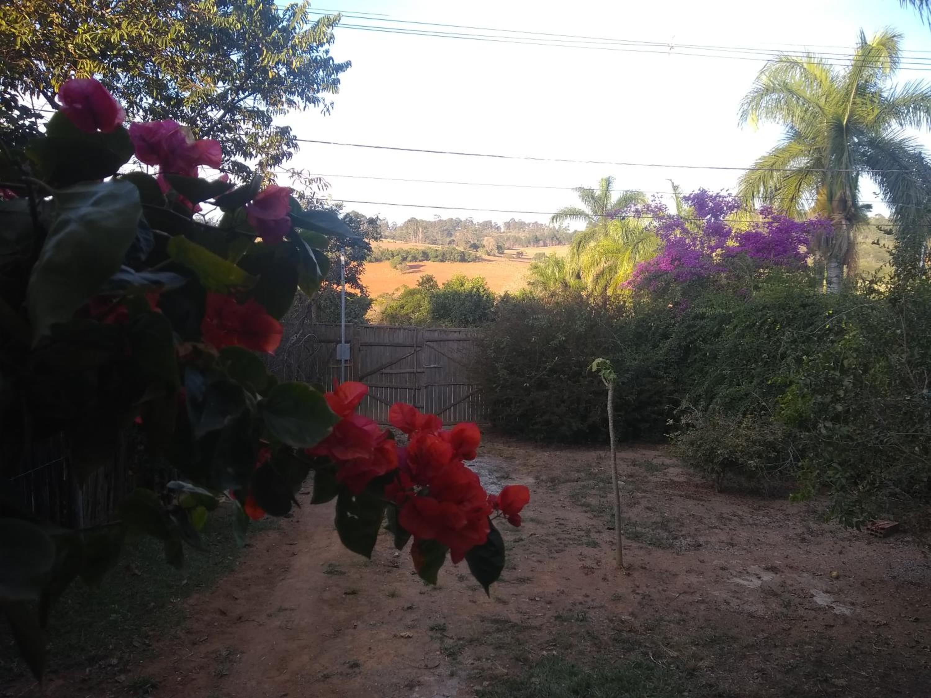 Photo 38