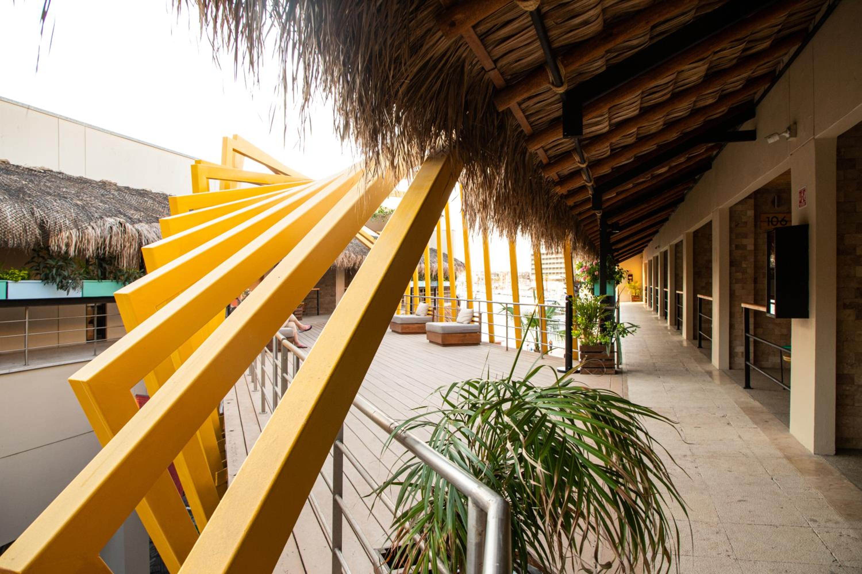 Mayan Monkey Los Cabos - Social Hostel - Image 4