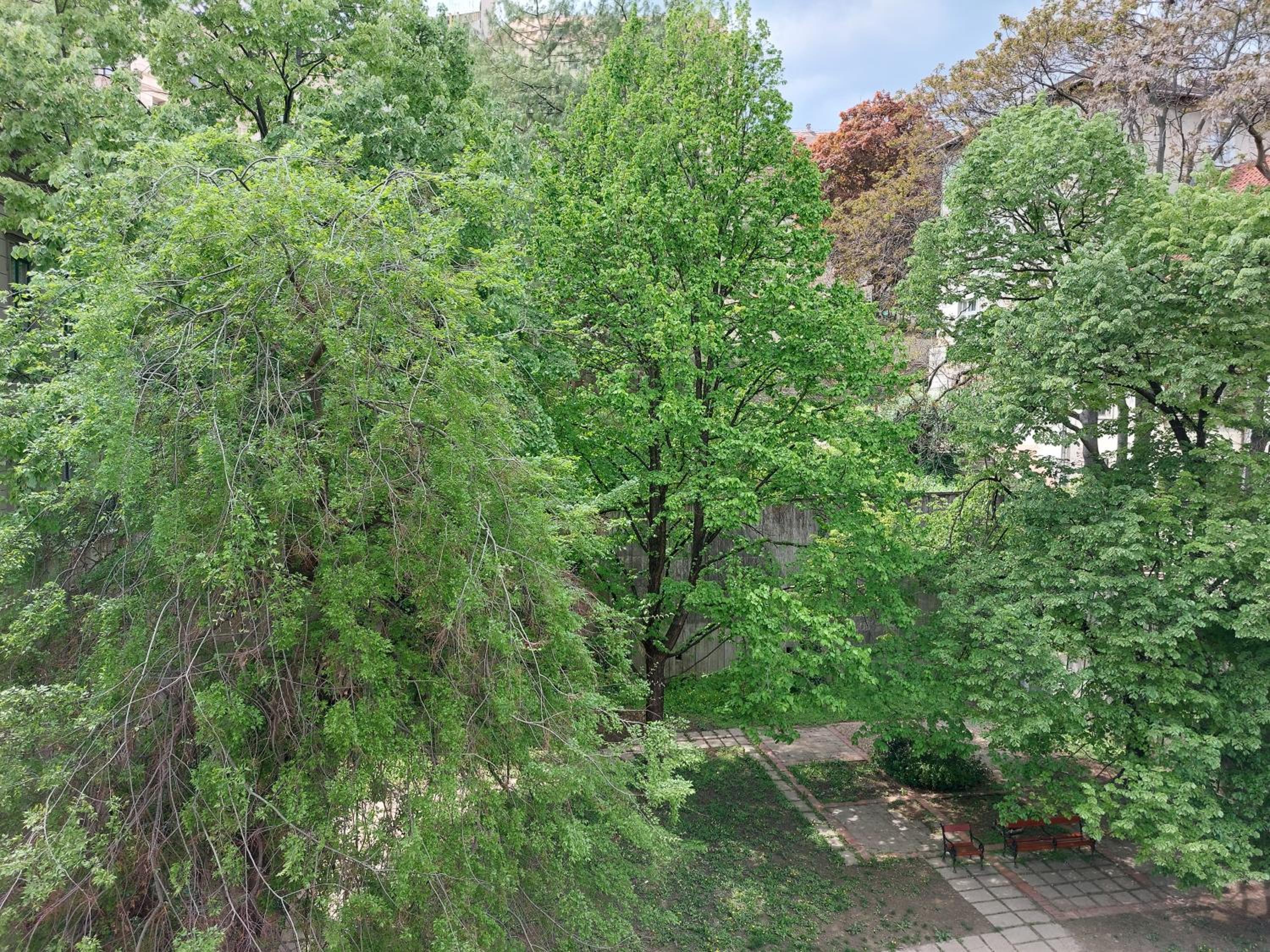 Photo 22