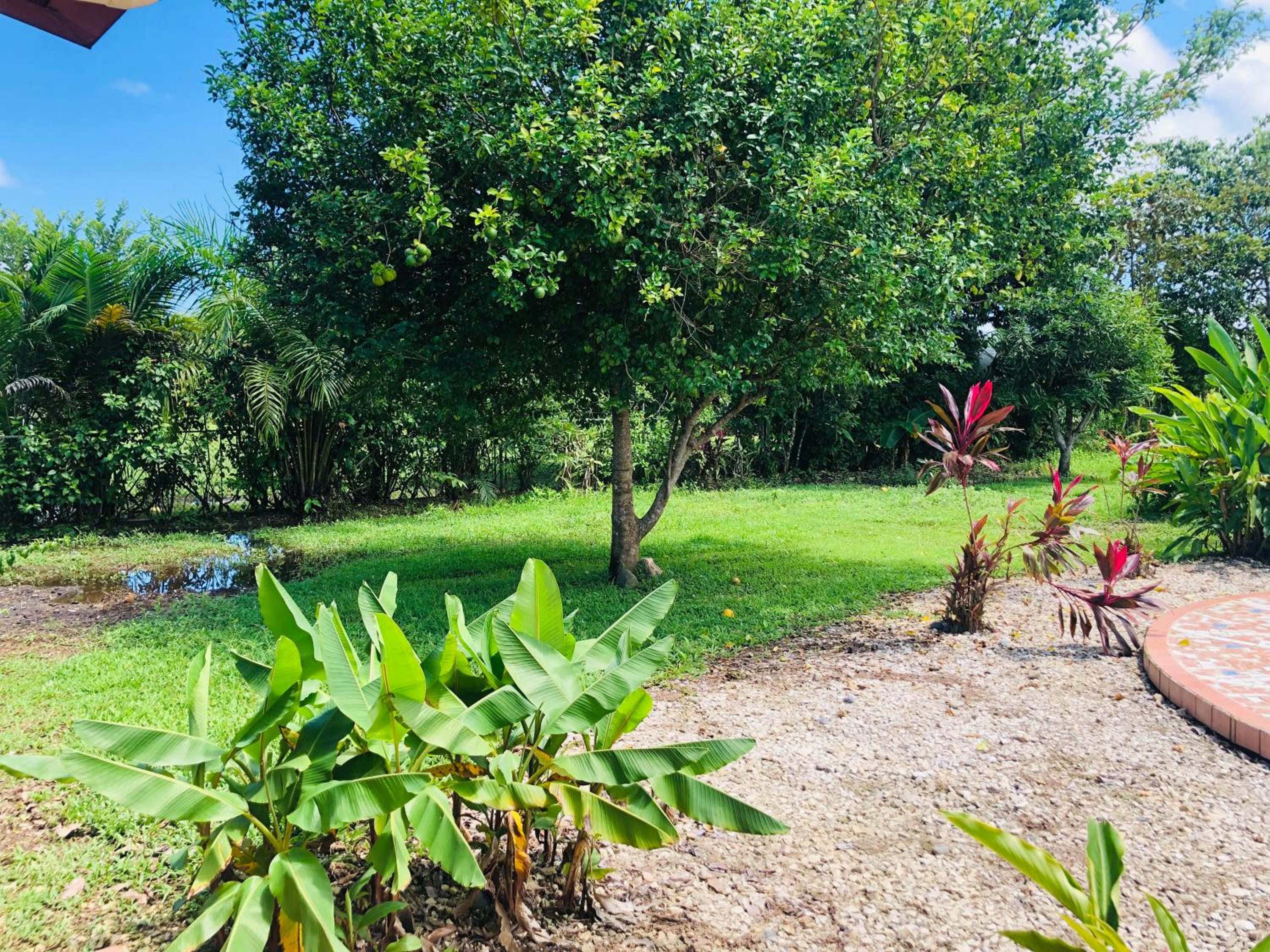 Hotel Cocodrilo Sierpe