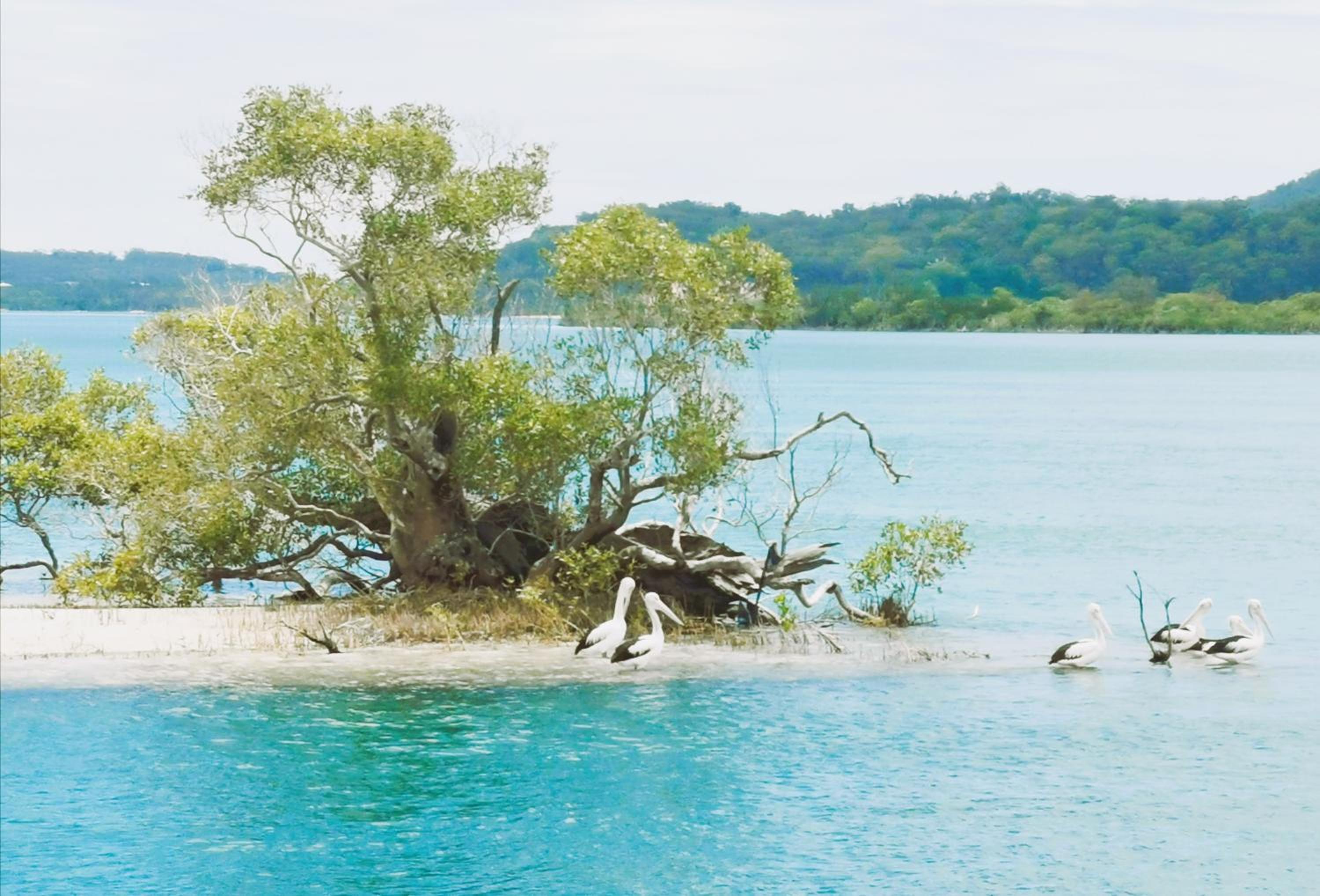 Coomera Houseboats