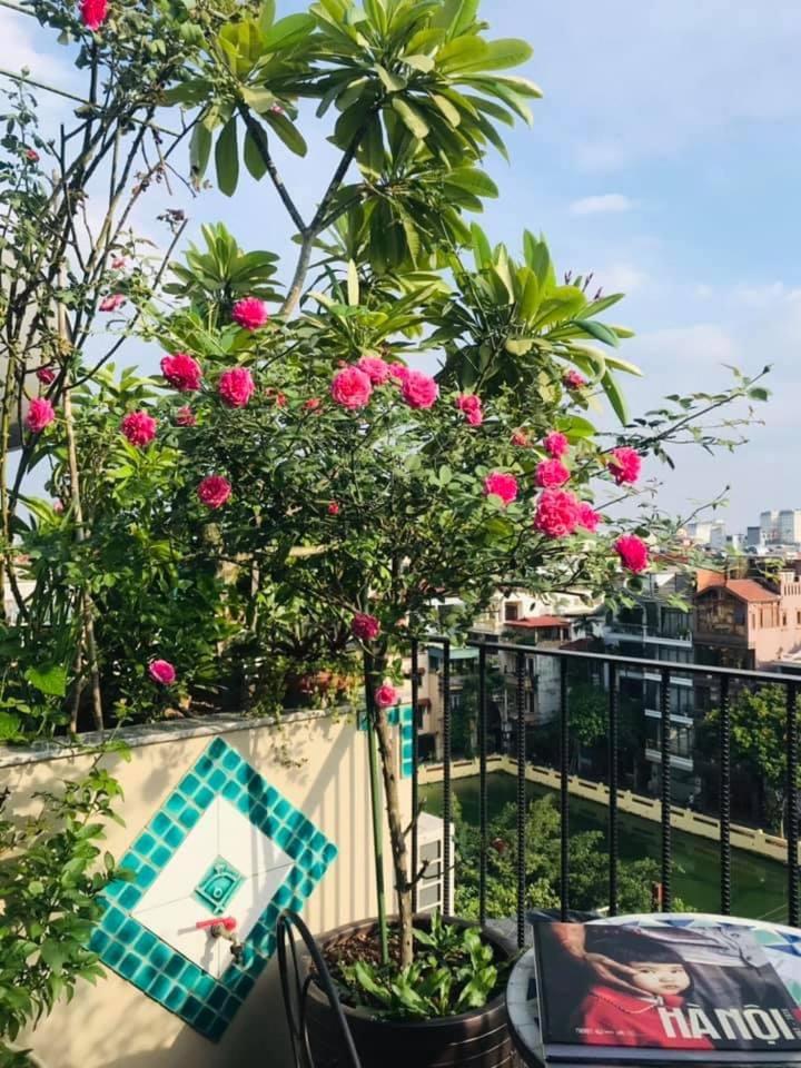 We Have Moved! Please search for Madame Binh Luxury Homestay 5 Yen Ninh