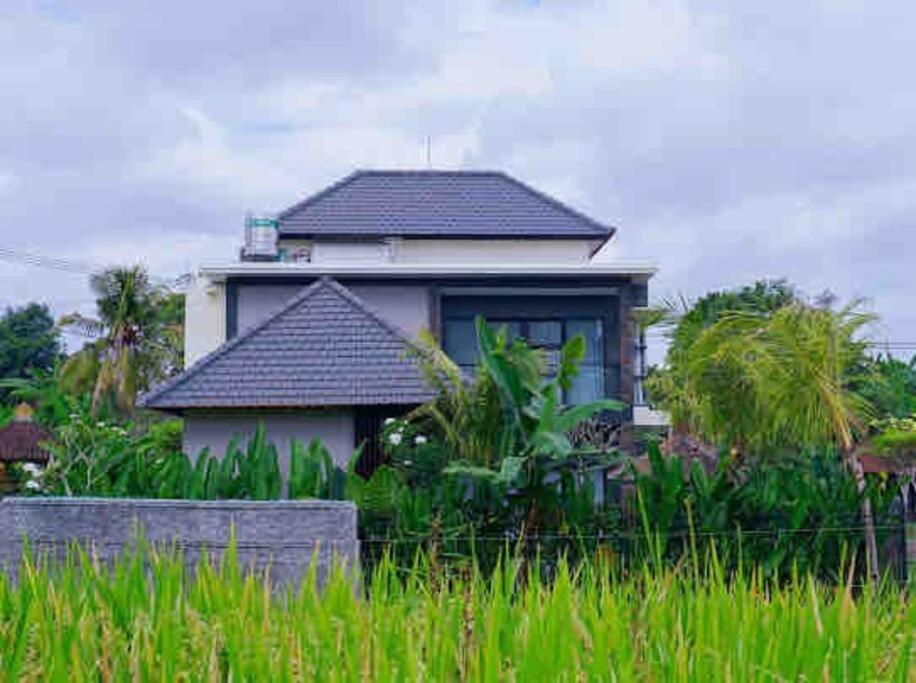 Danniel Luxury Villa Pererenan