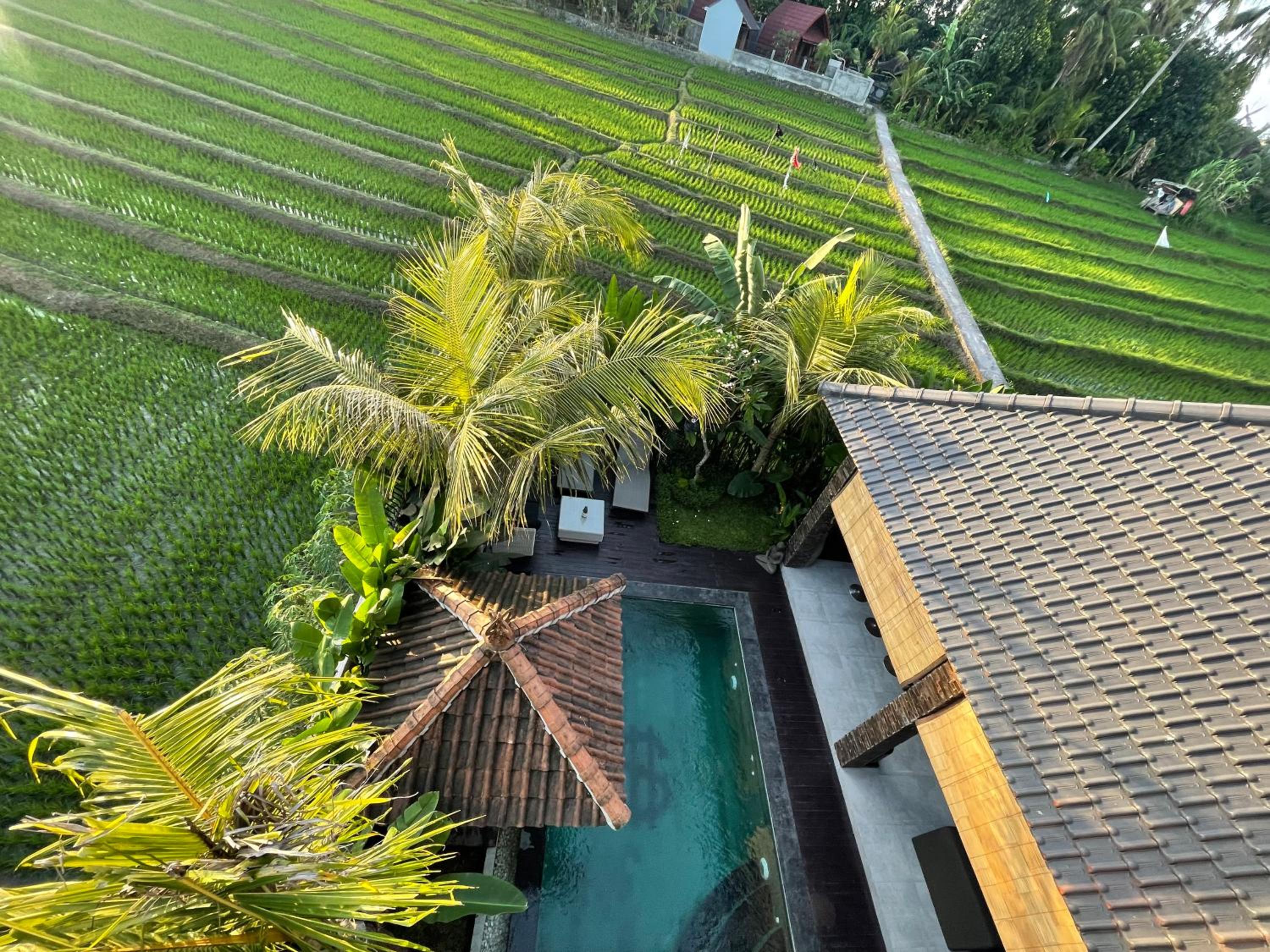 Danniel Luxury Villa Pererenan
