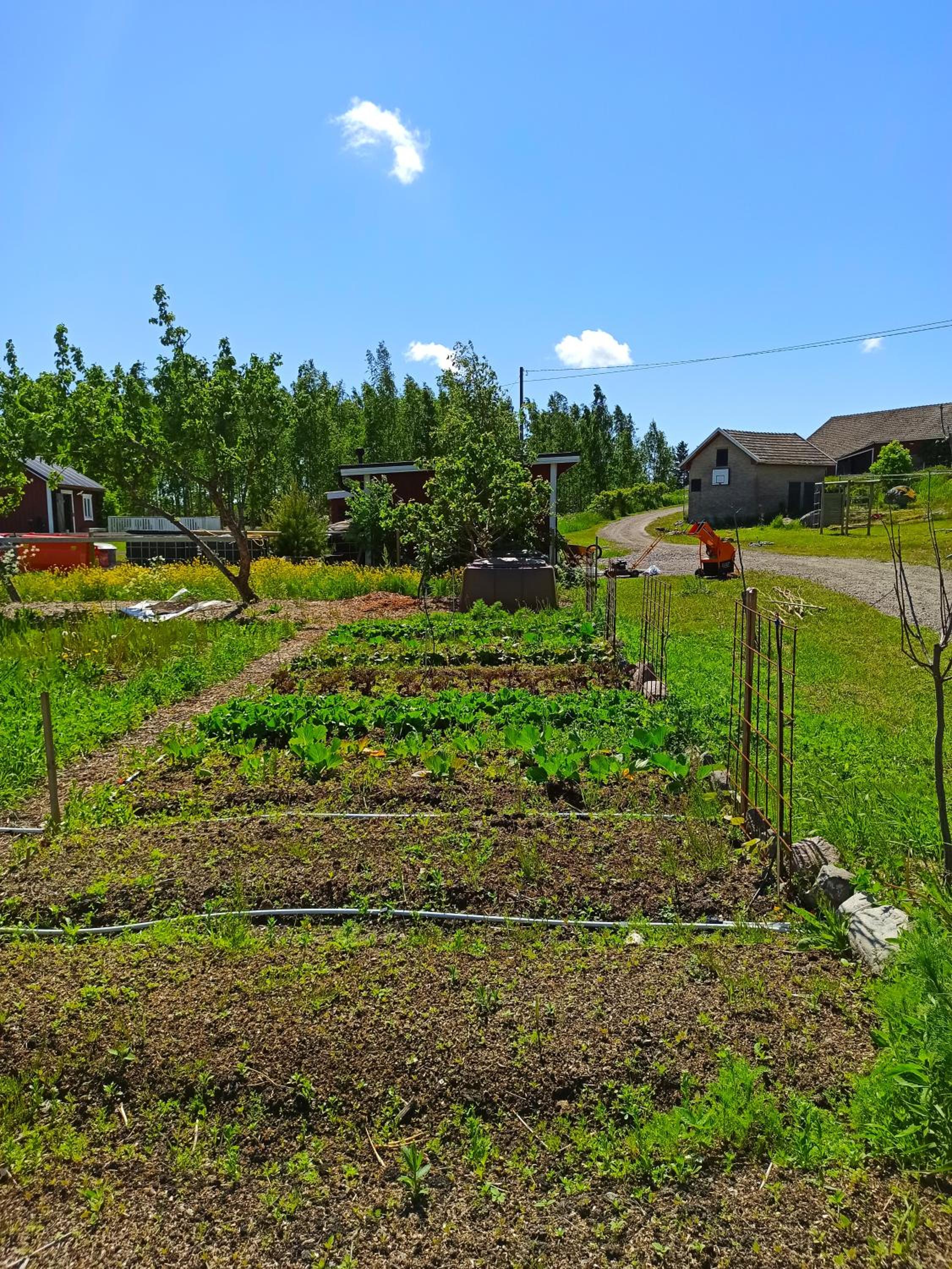Photo 17