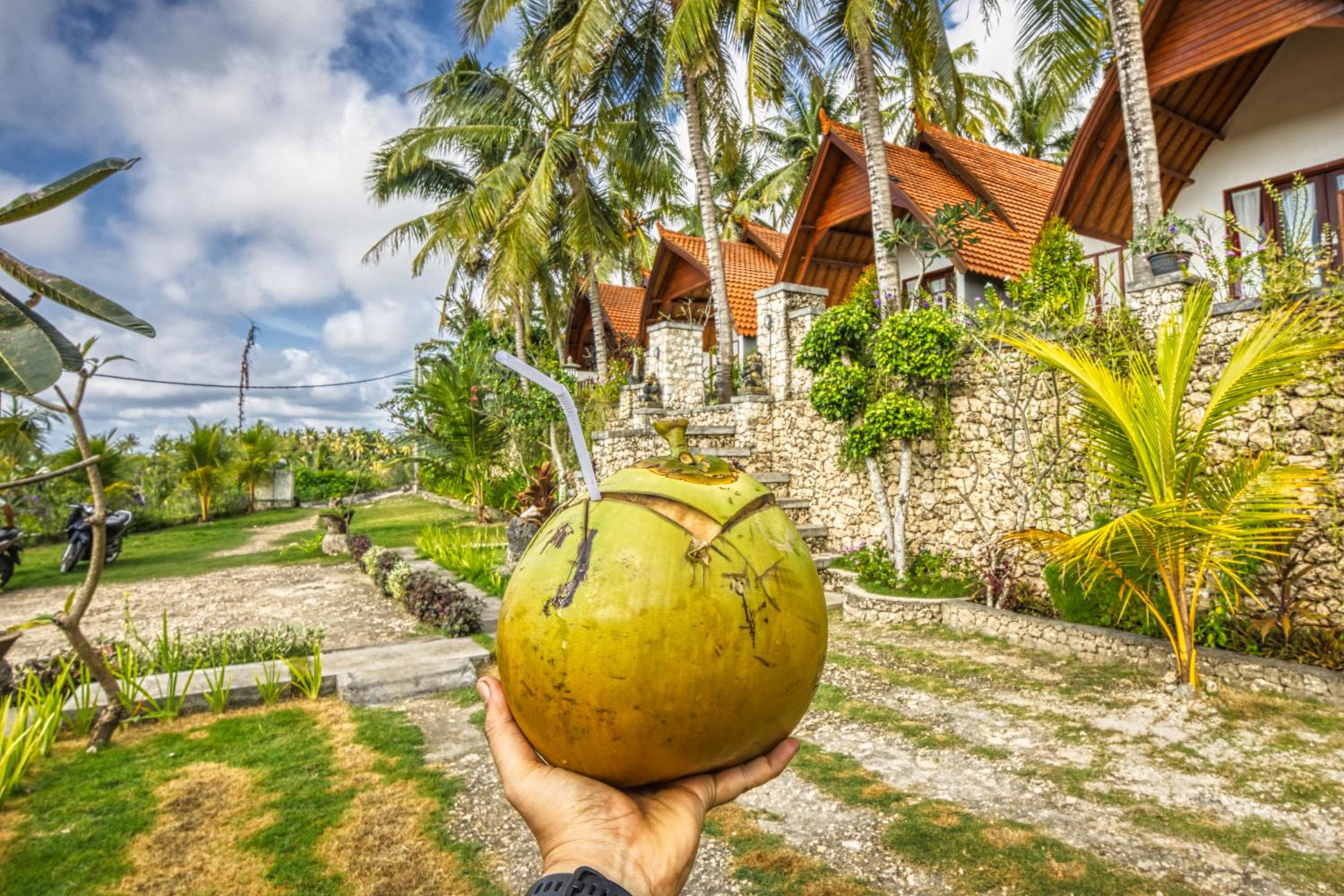Mahendra Cottage view 3