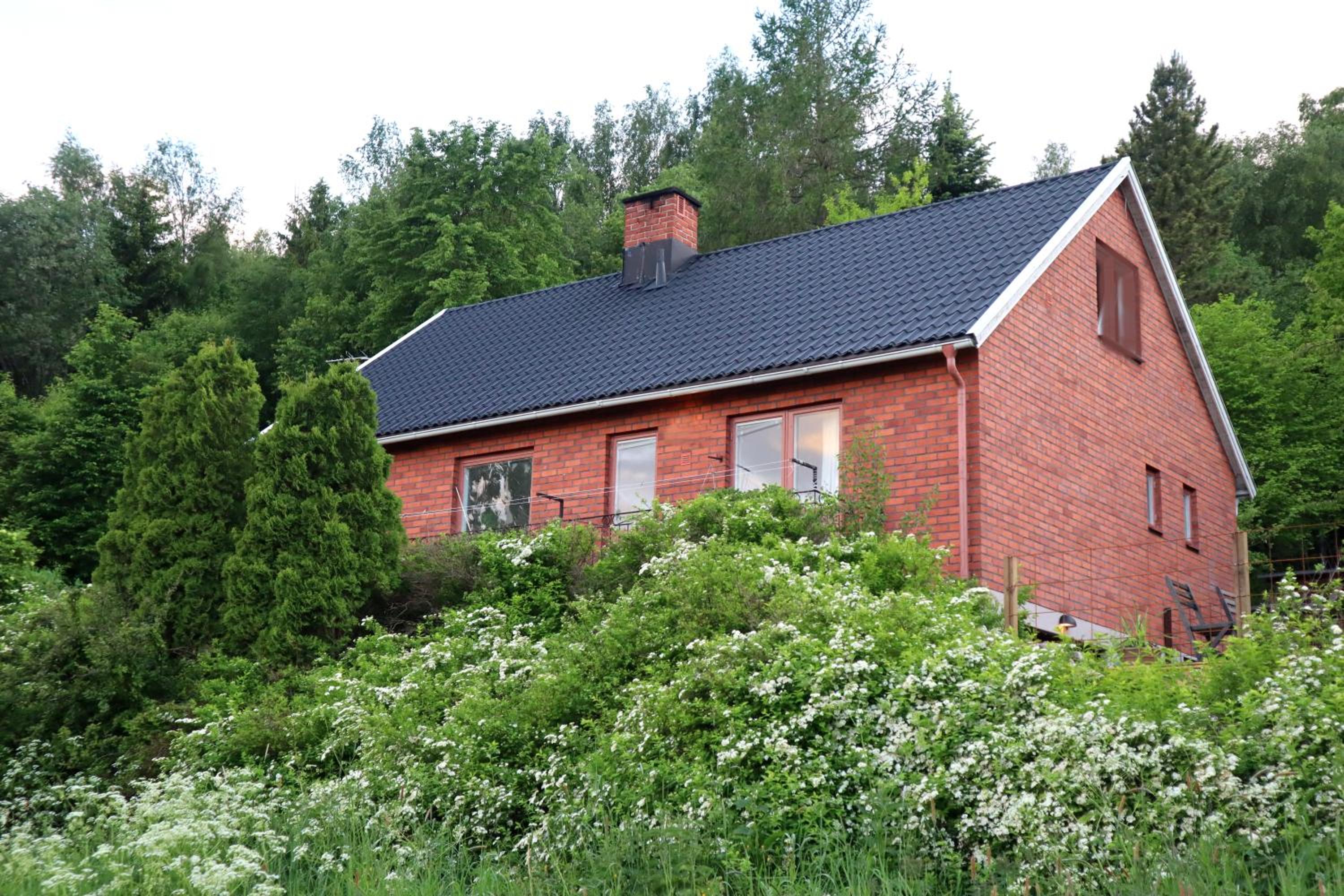 Photo 8