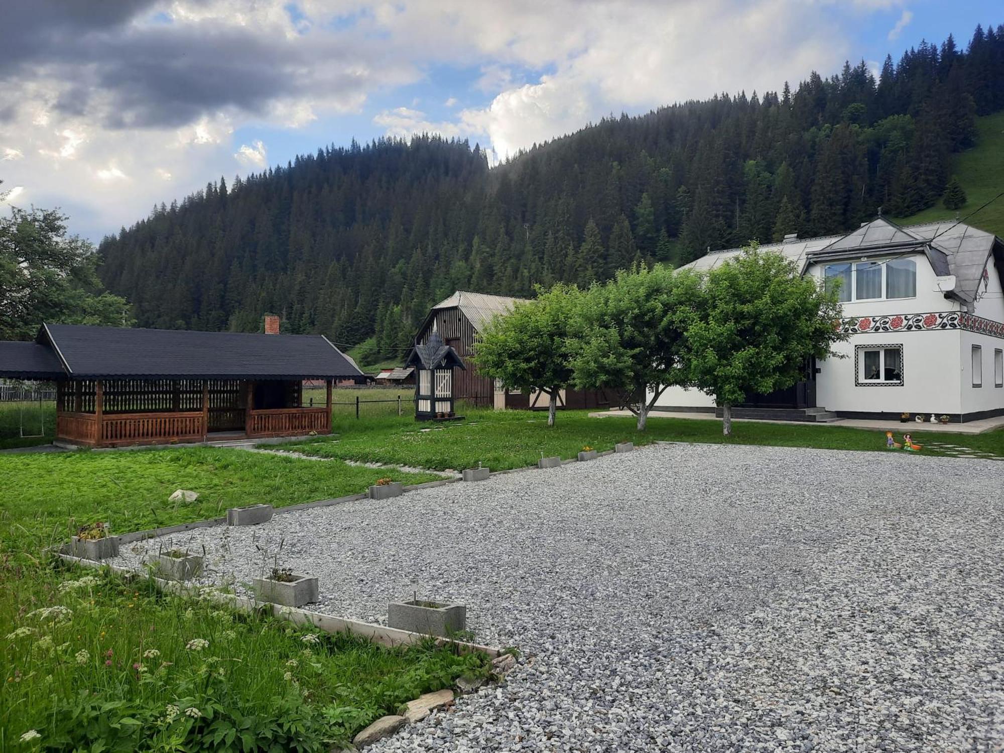 Photo 42
