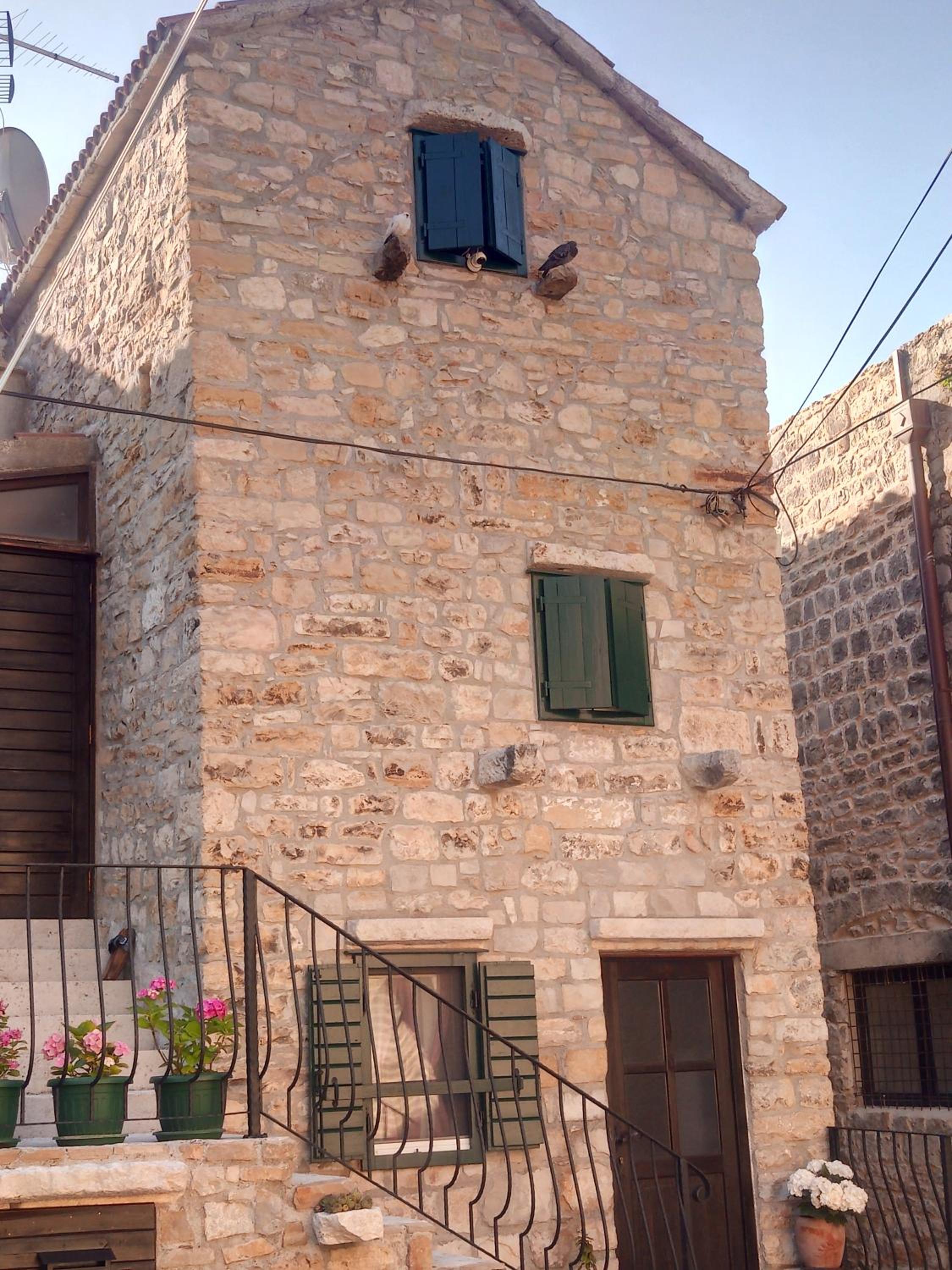Photo 7