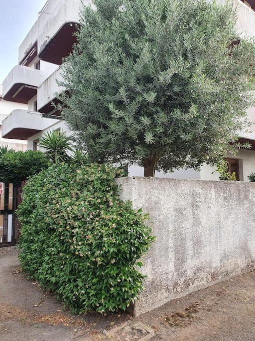 ççç Holiday Properties Le Vele ççç