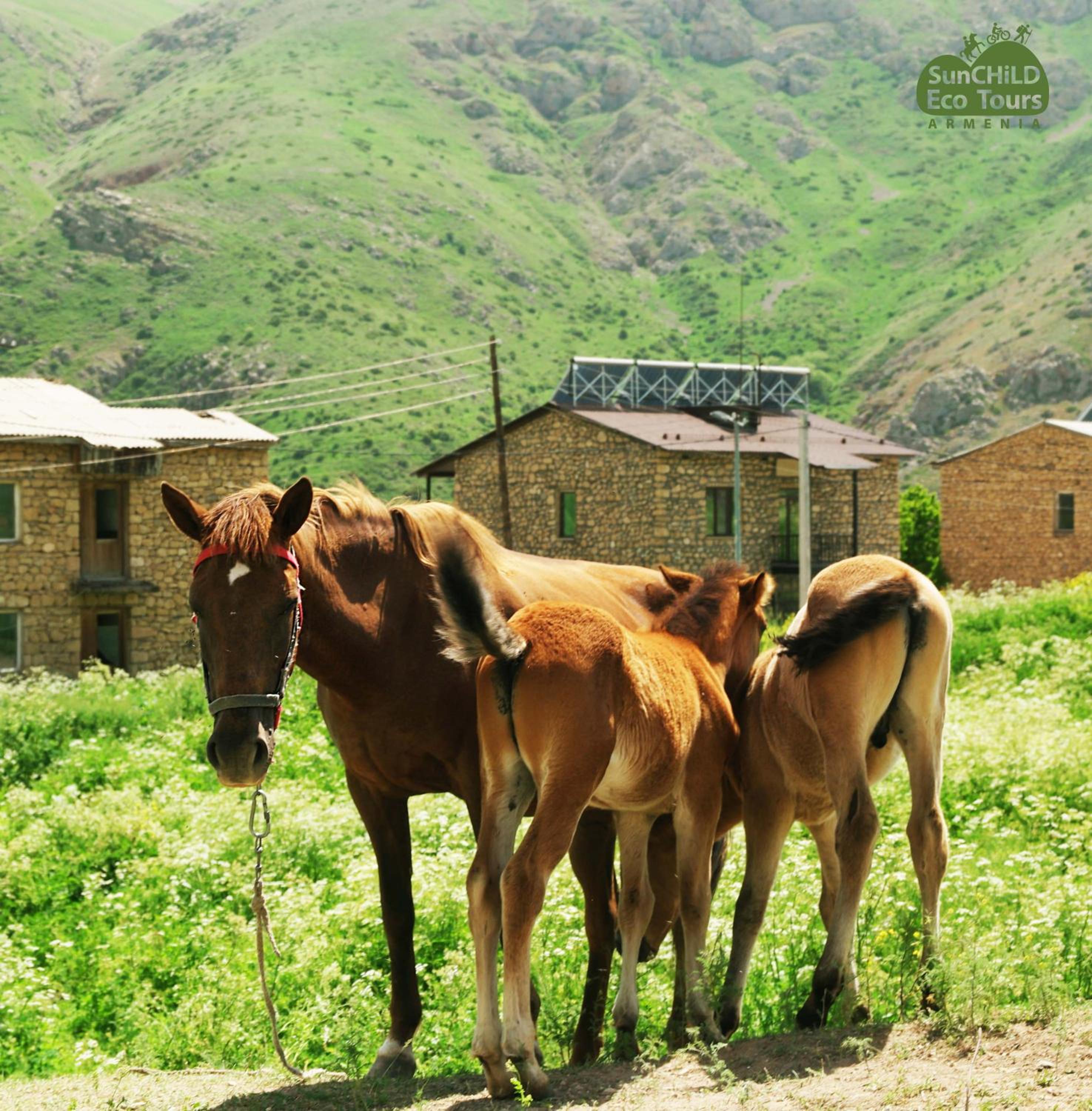 Gnishik Eco Lodge