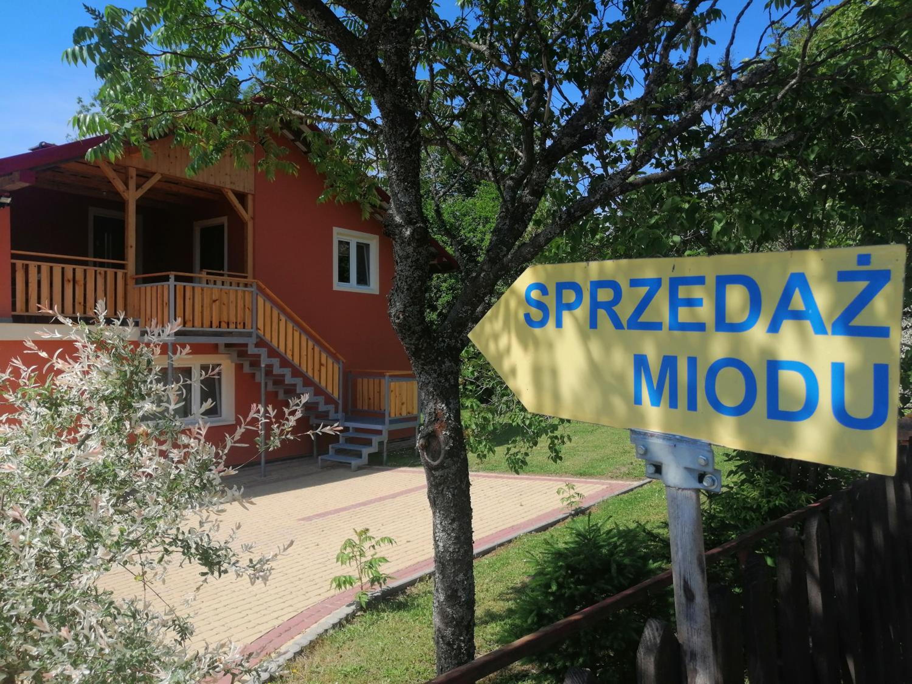 Rzepedka view 5