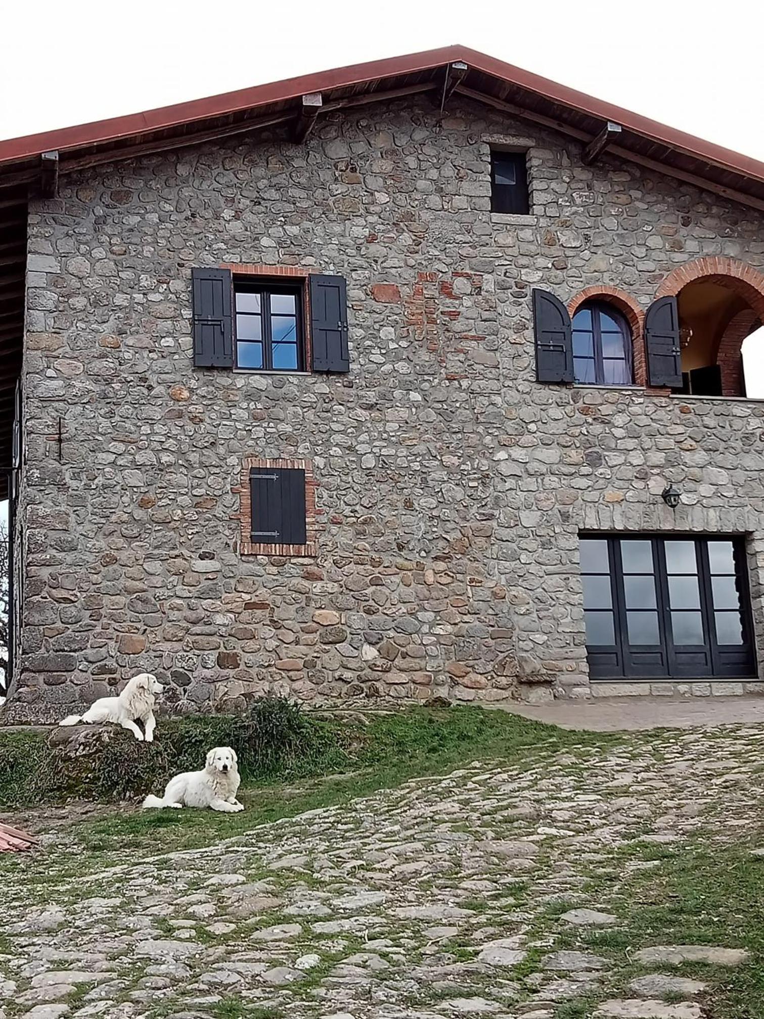 Podere I Casaloni - La casa nel bosco view 5
