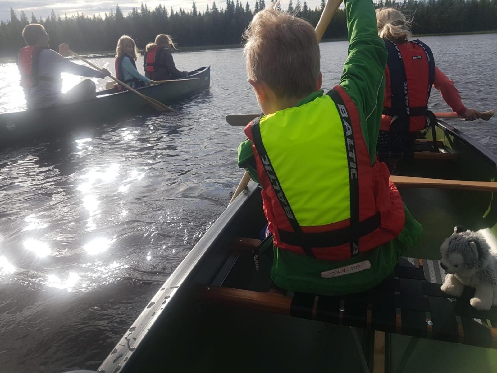Metsä Kolo