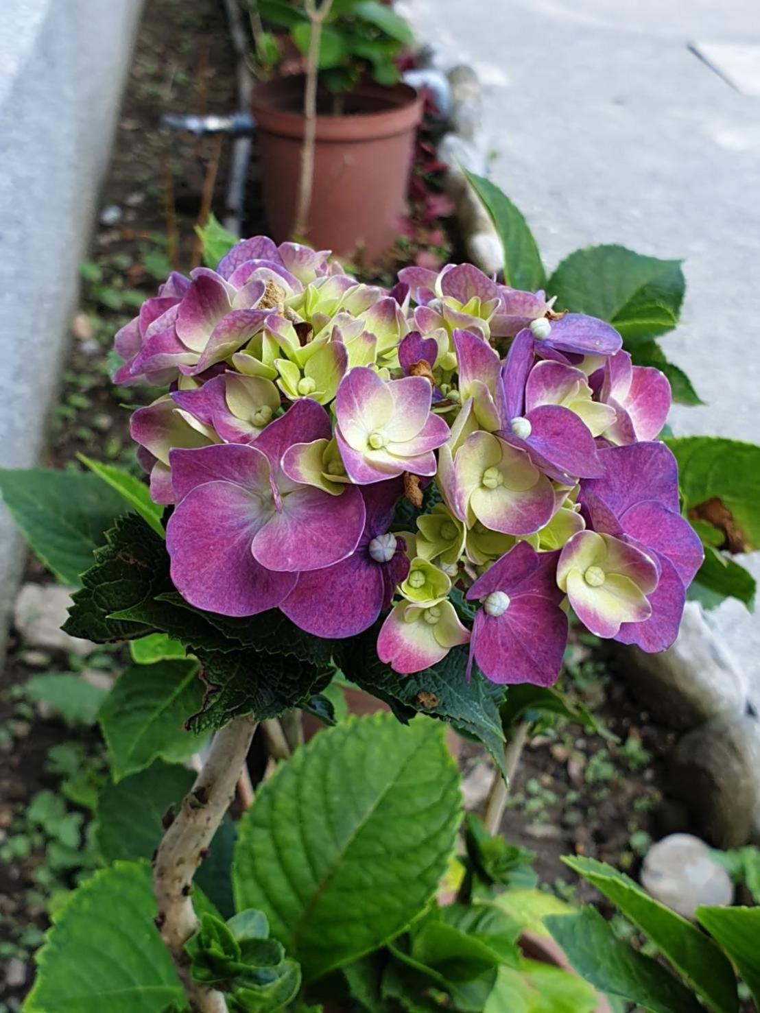Photo 39