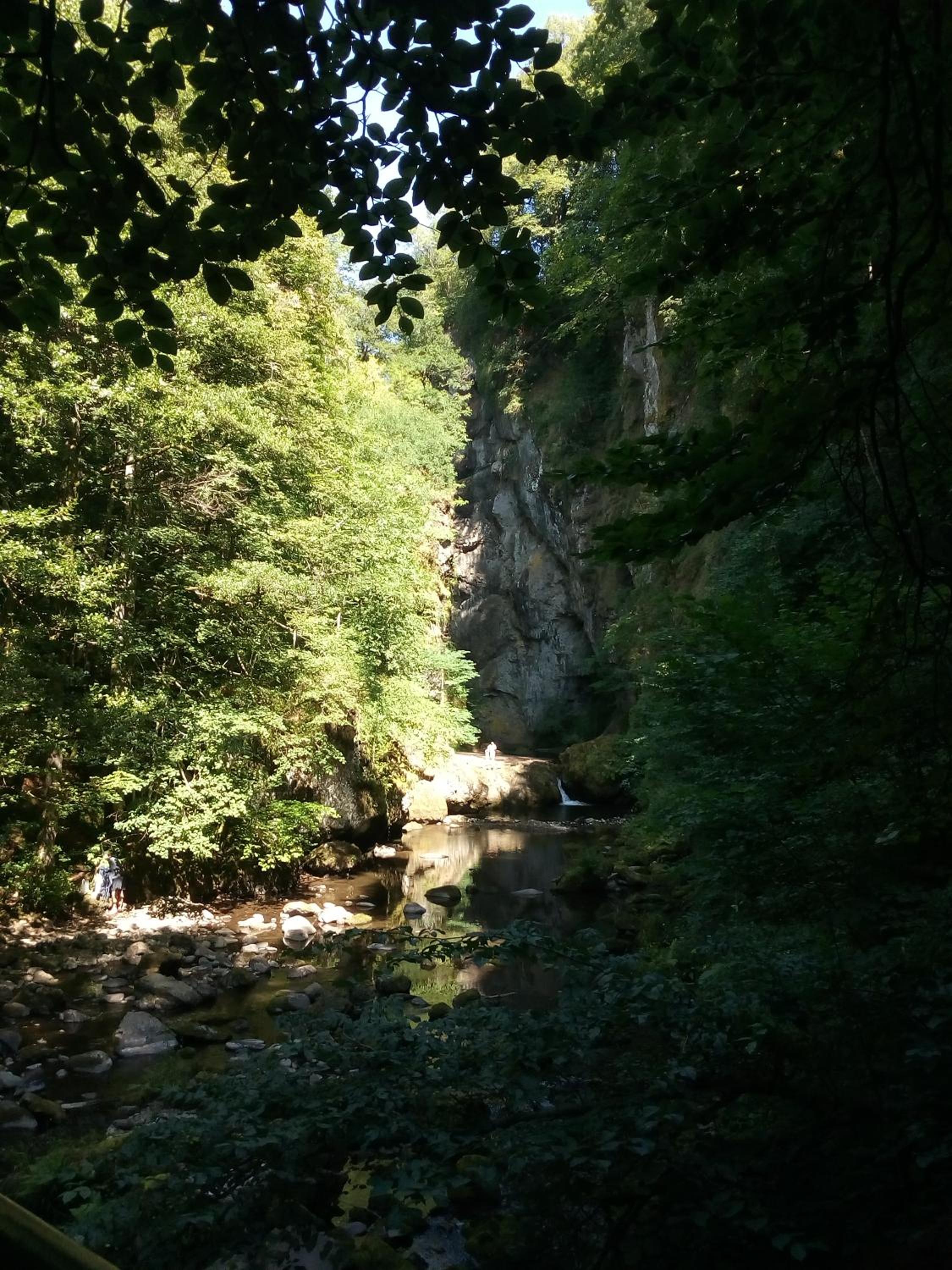 Photo 9