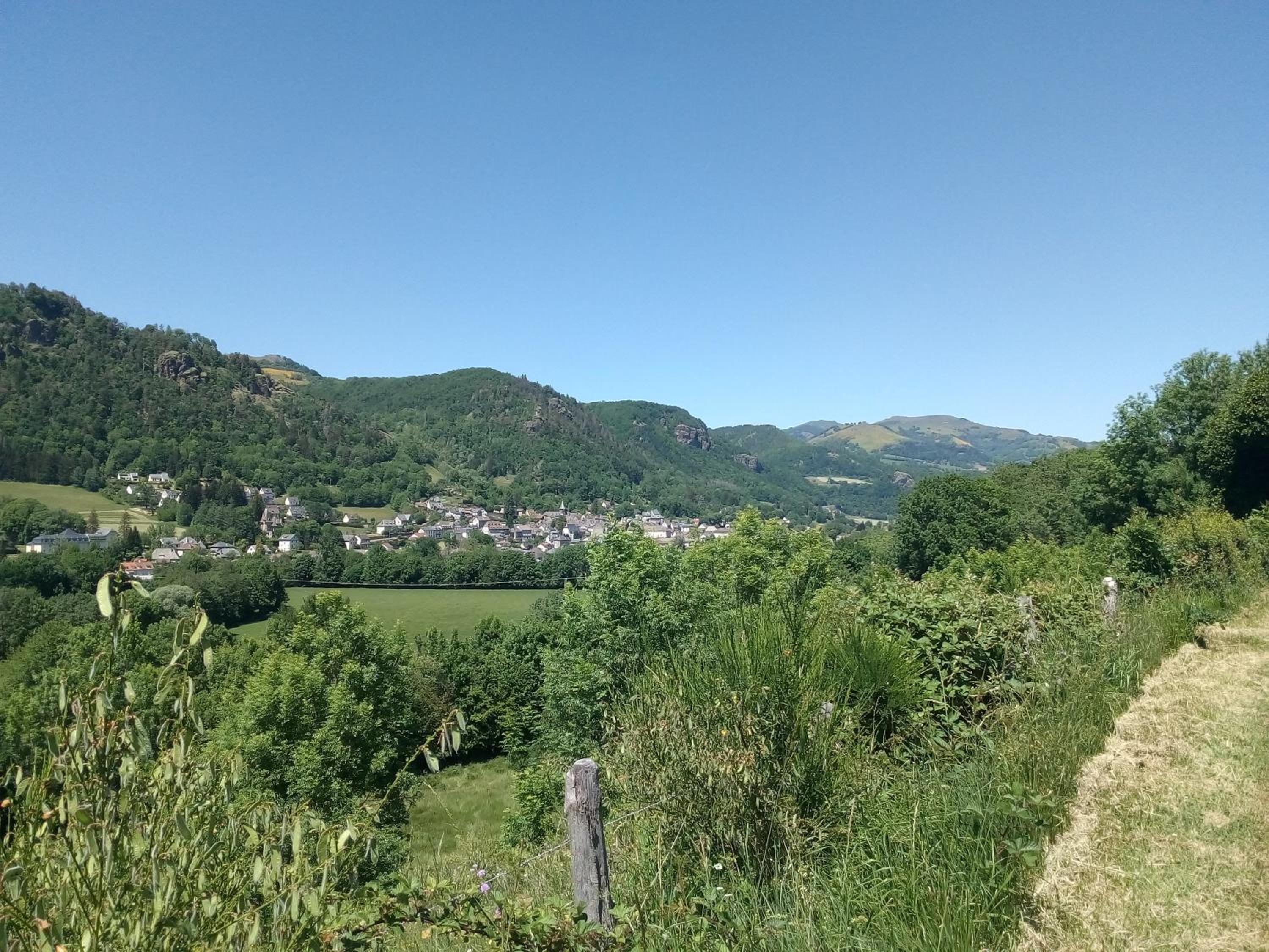 Photo 42