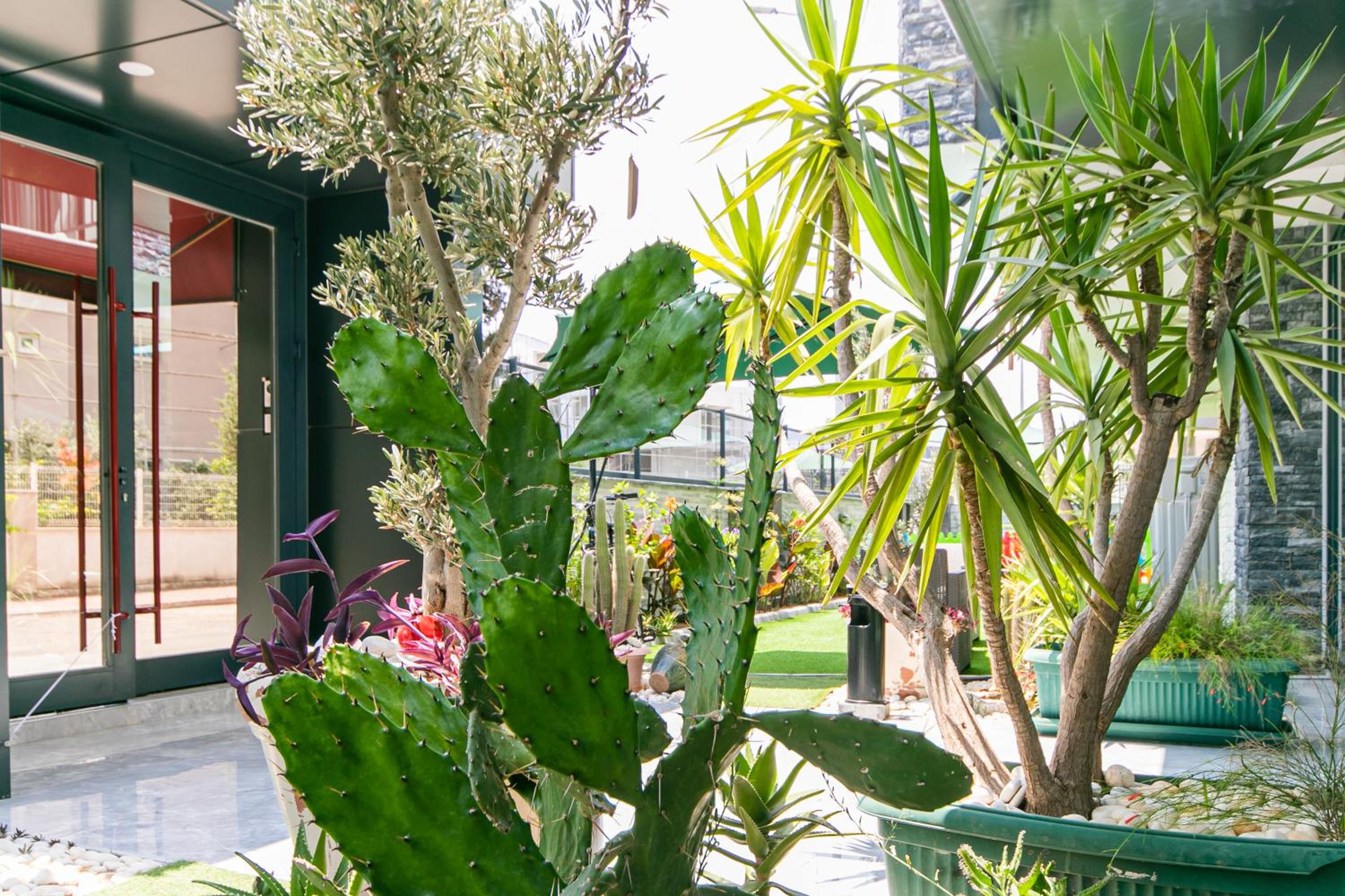 Oniks Comfort Suites - Image 7