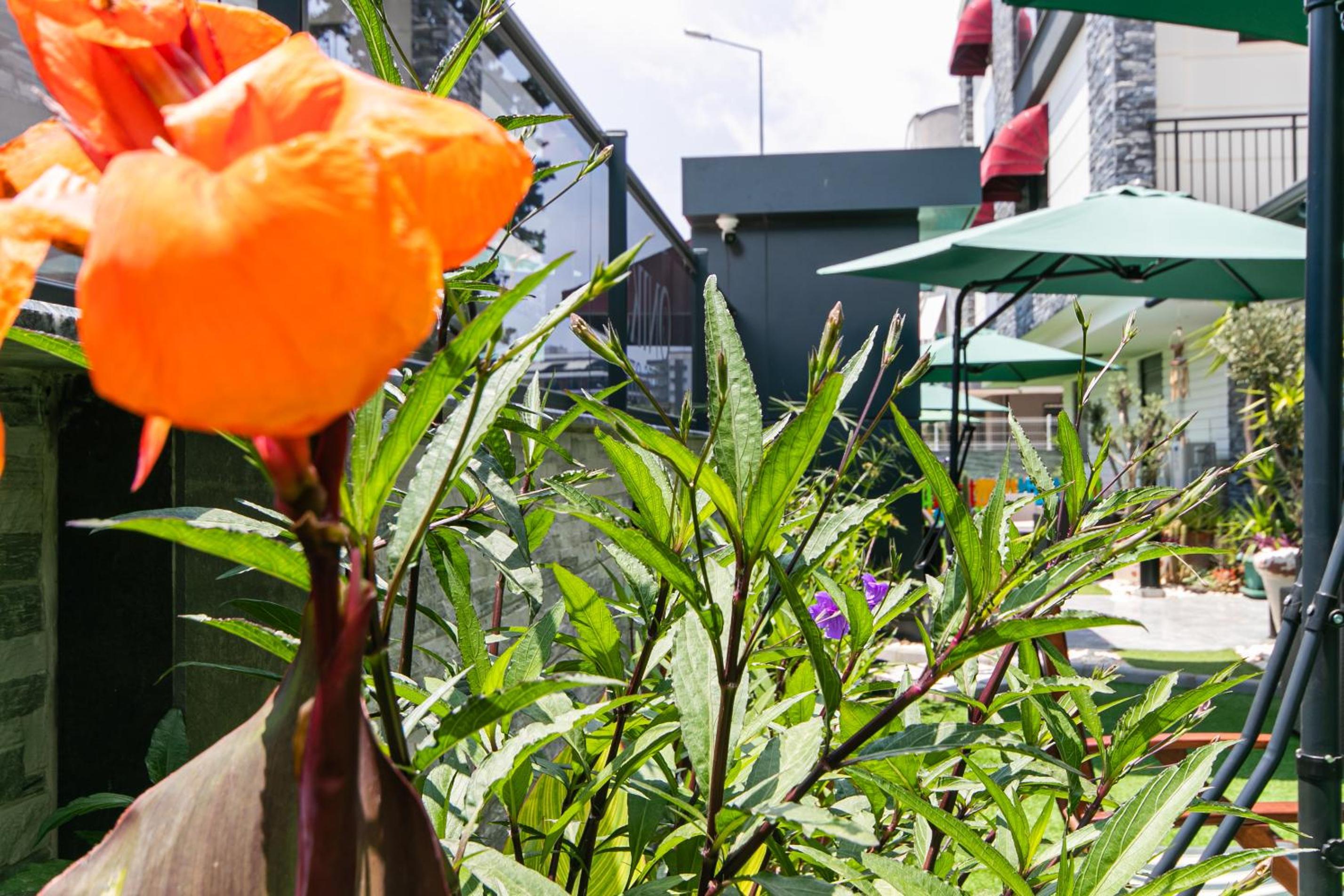 Oniks Comfort Suites - Image 48