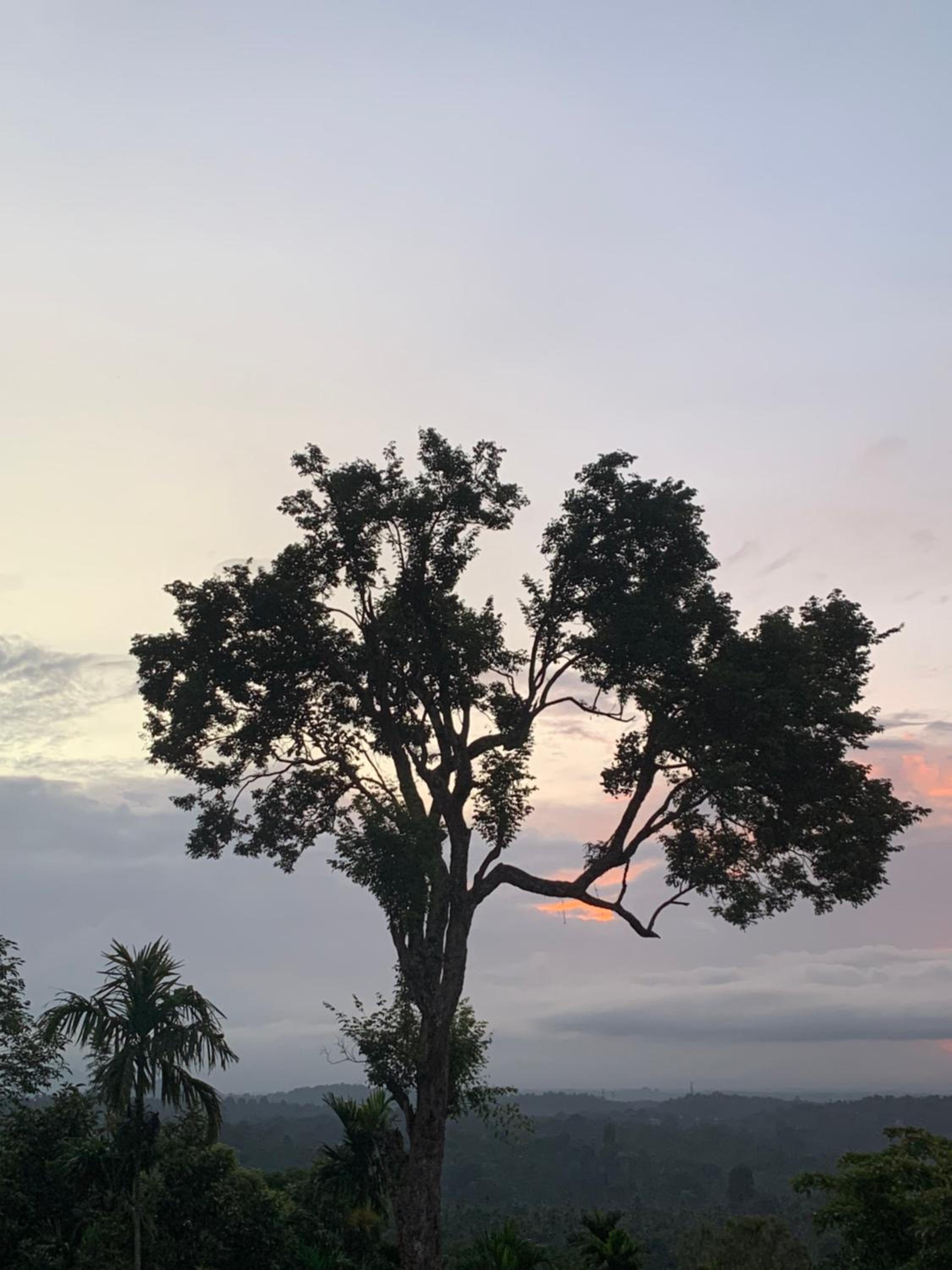 Aambal Villa Homestay