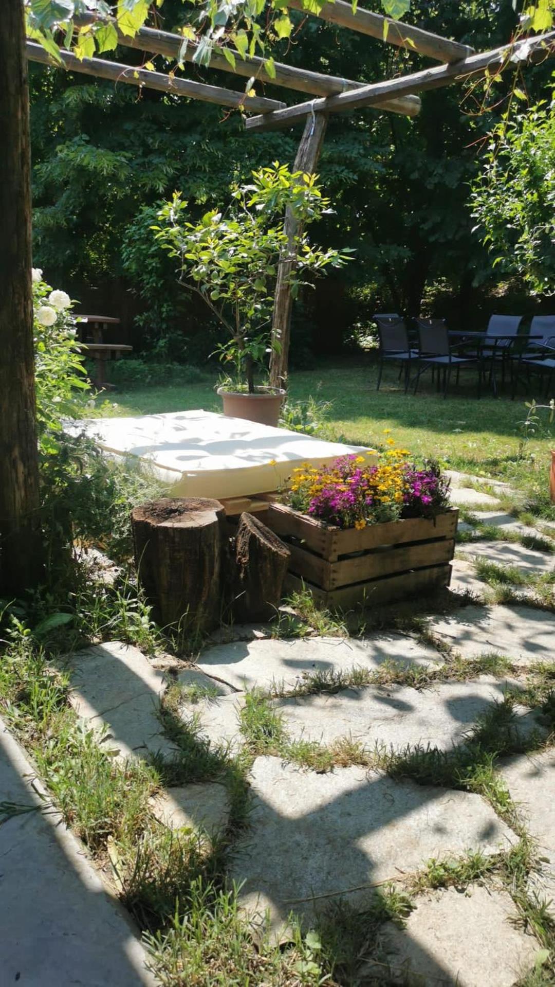Agriturismo Viticcio