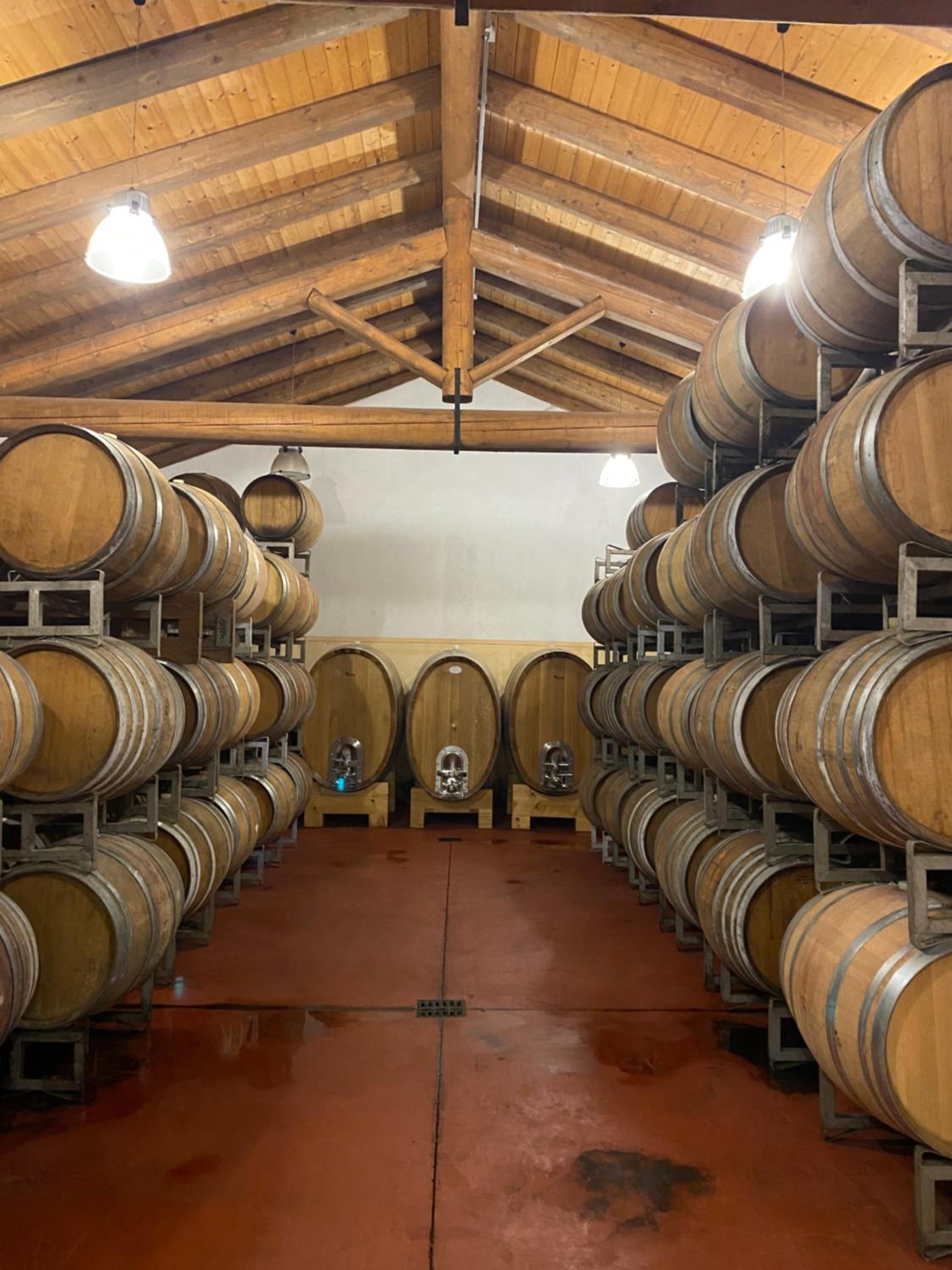 Agriturismo Viticcio