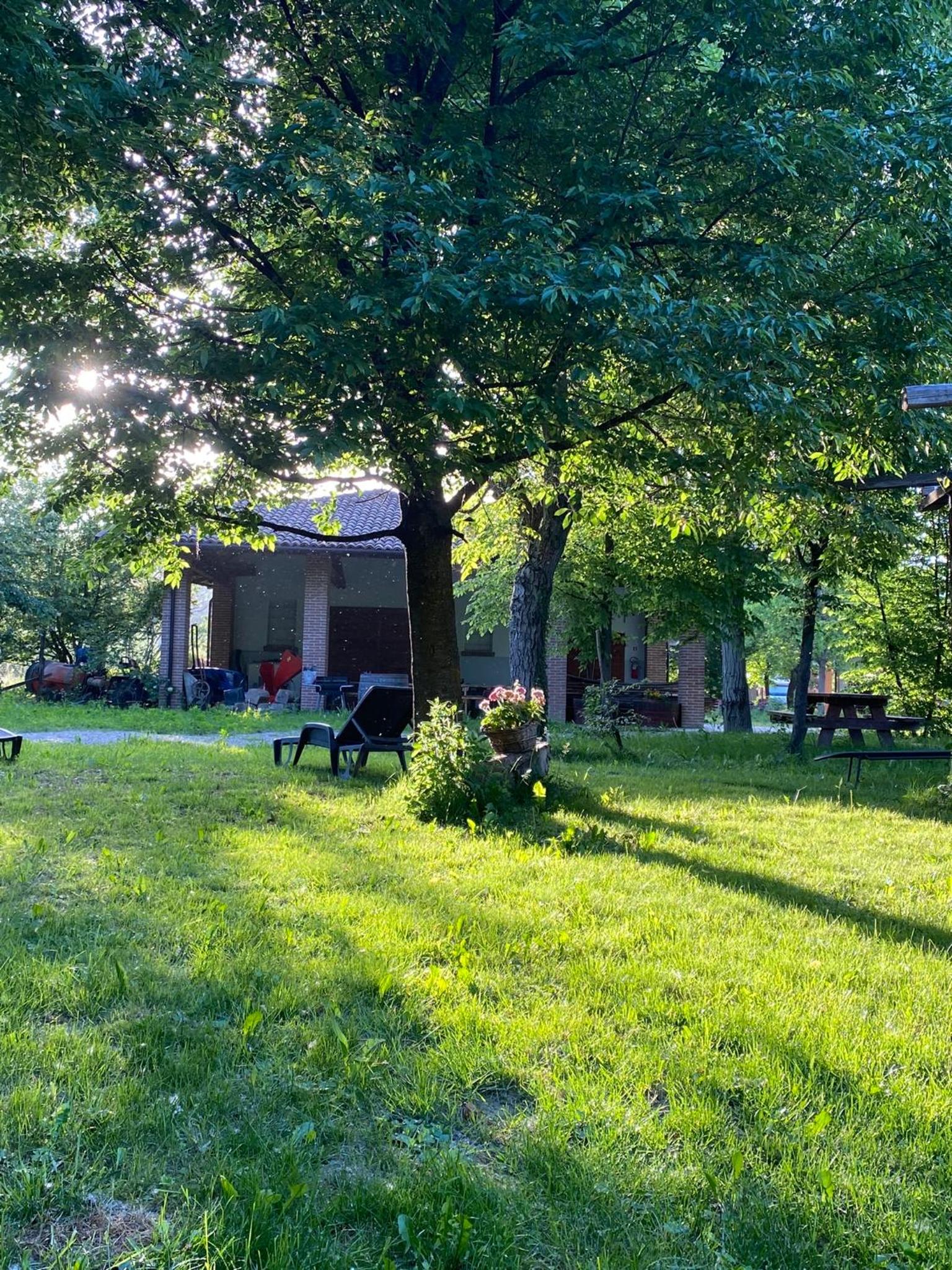 Agriturismo Viticcio