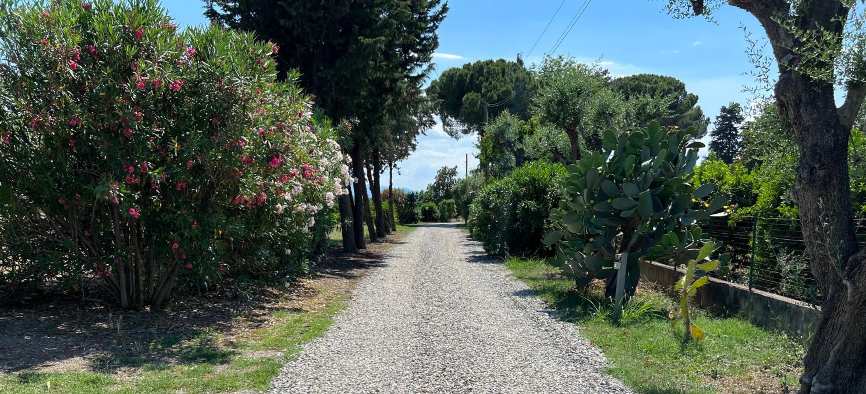 Masseria Brica Rossa