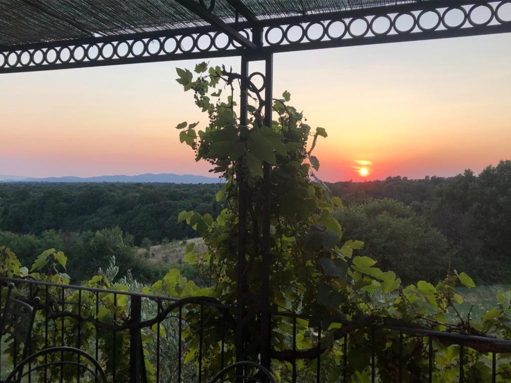 Agriturismo Cerrosughero
