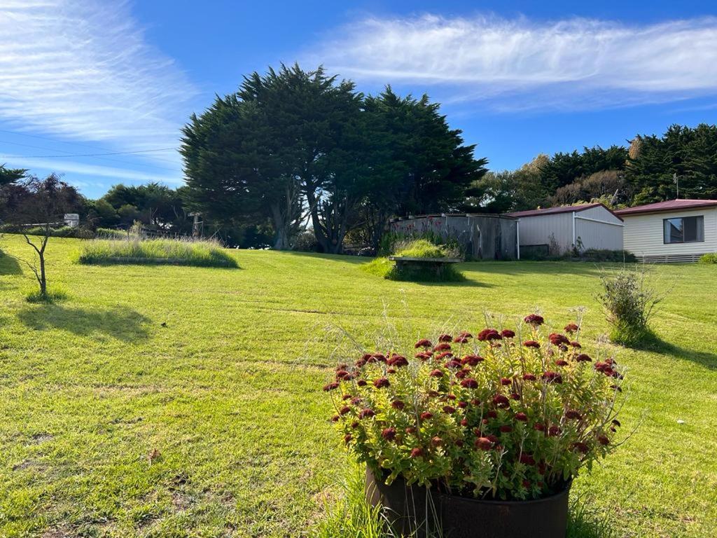 Twelve Apostles Ocean View