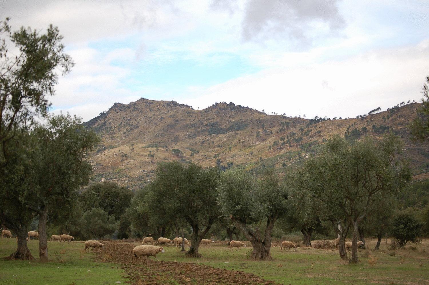 Photo 41