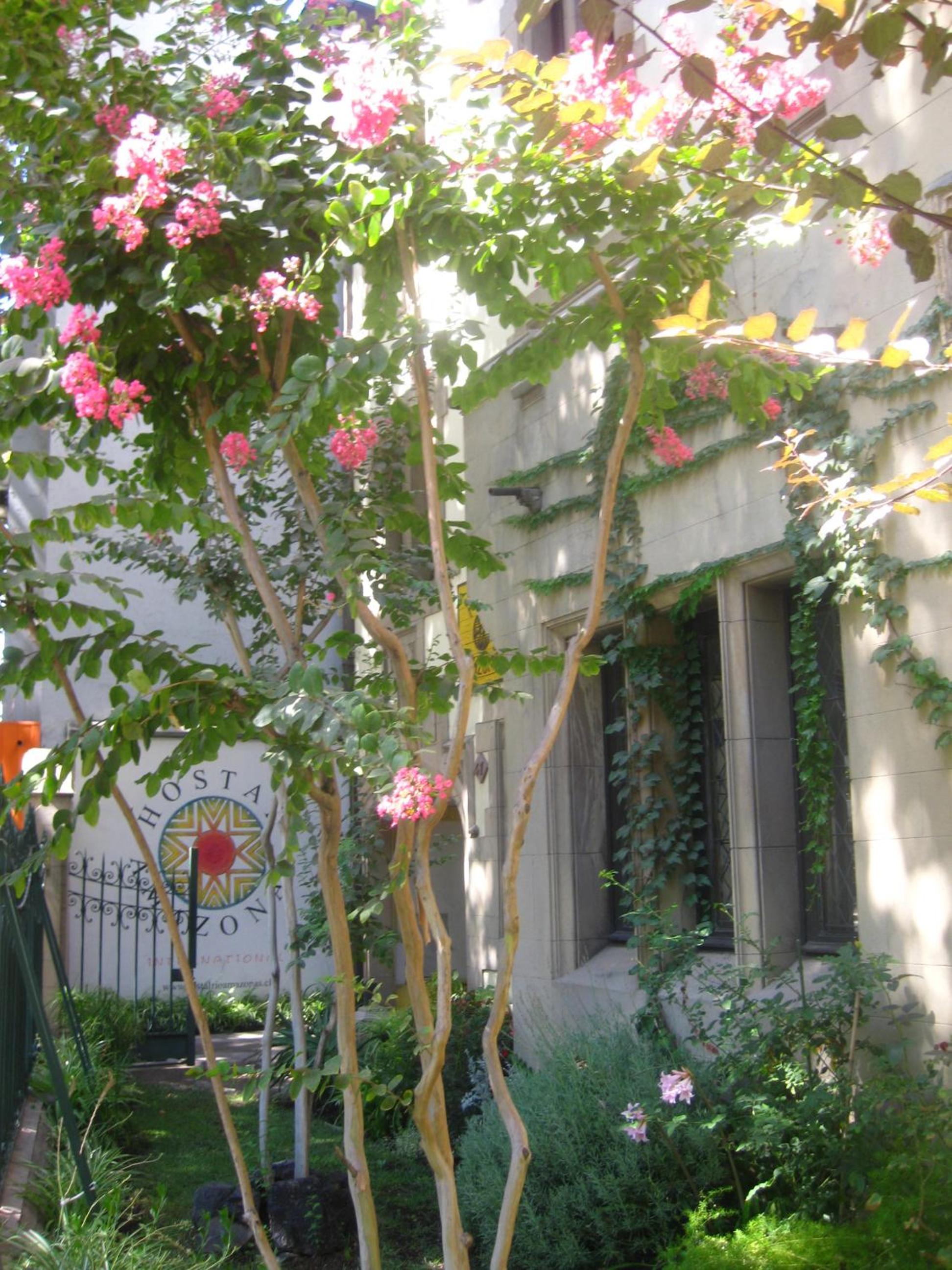 Hostal Rio Amazonas