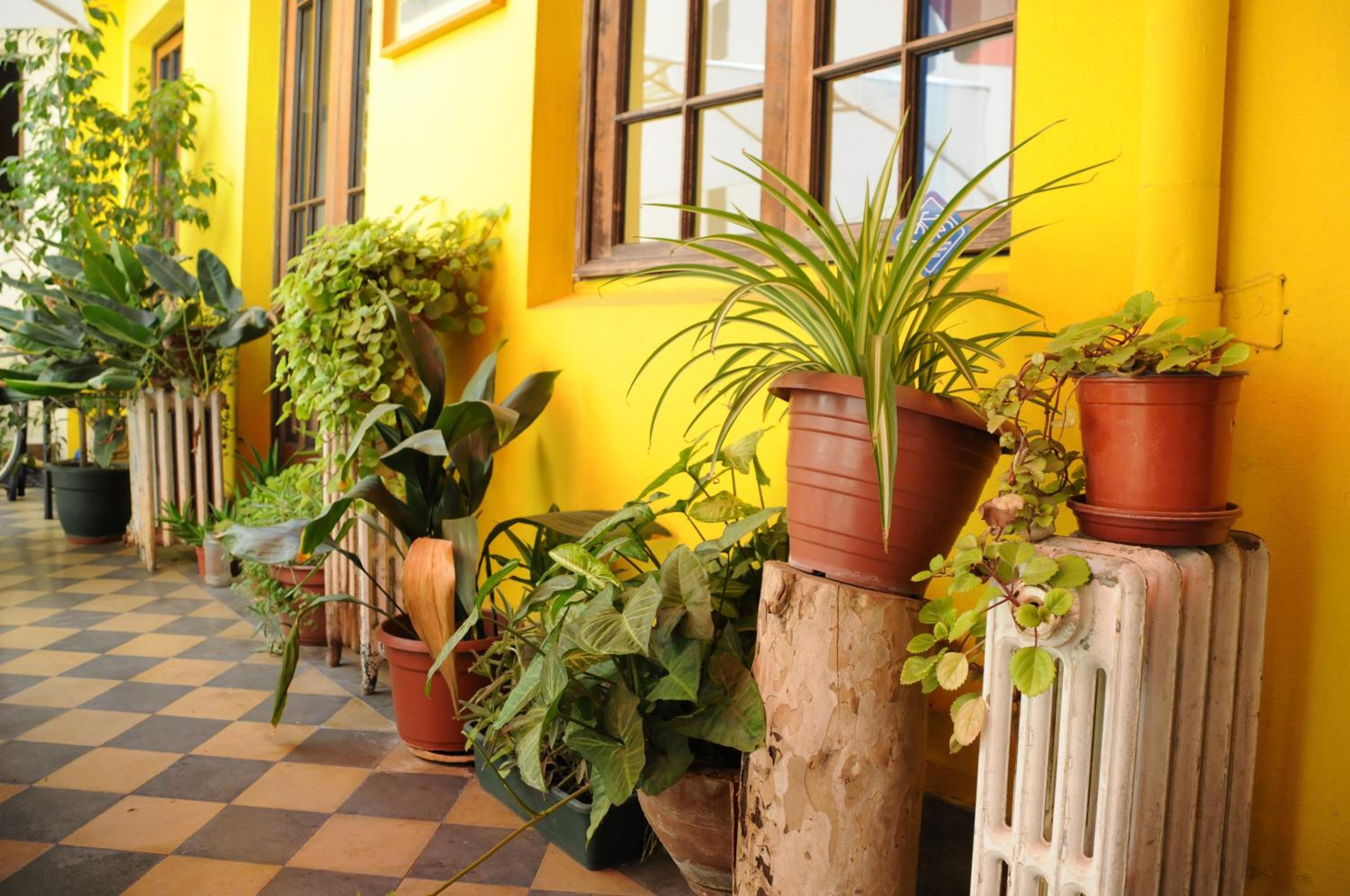 Hostal Rio Amazonas