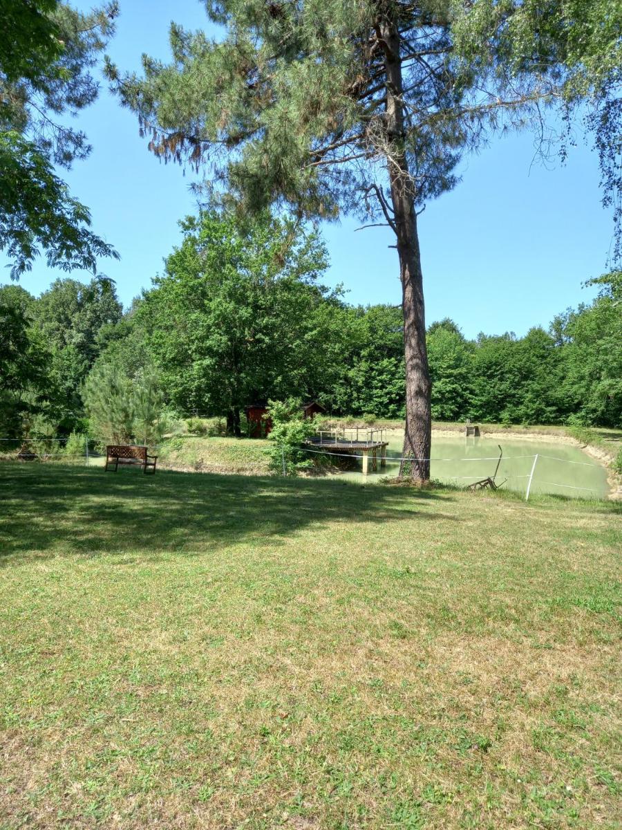 Photo 26