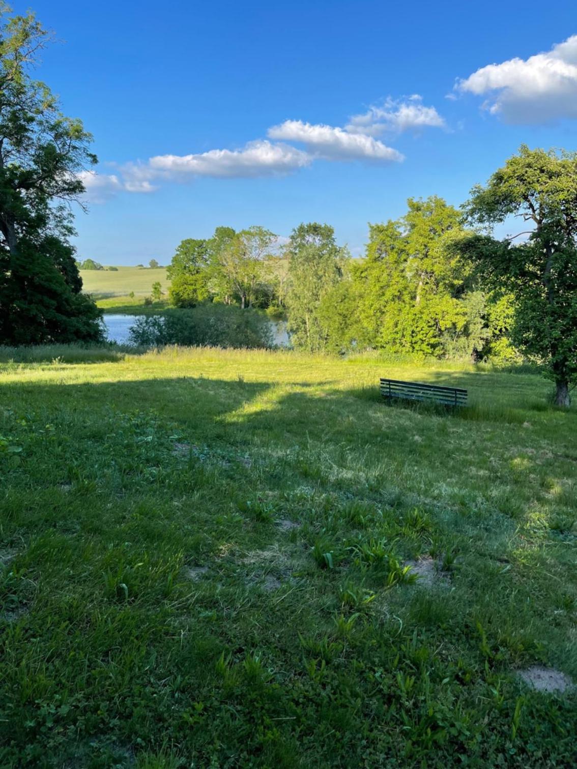 Naturnahes, neu eingerichtetes Apartment mit 1 Schlafzimmer