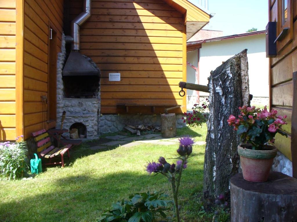 Photo 12