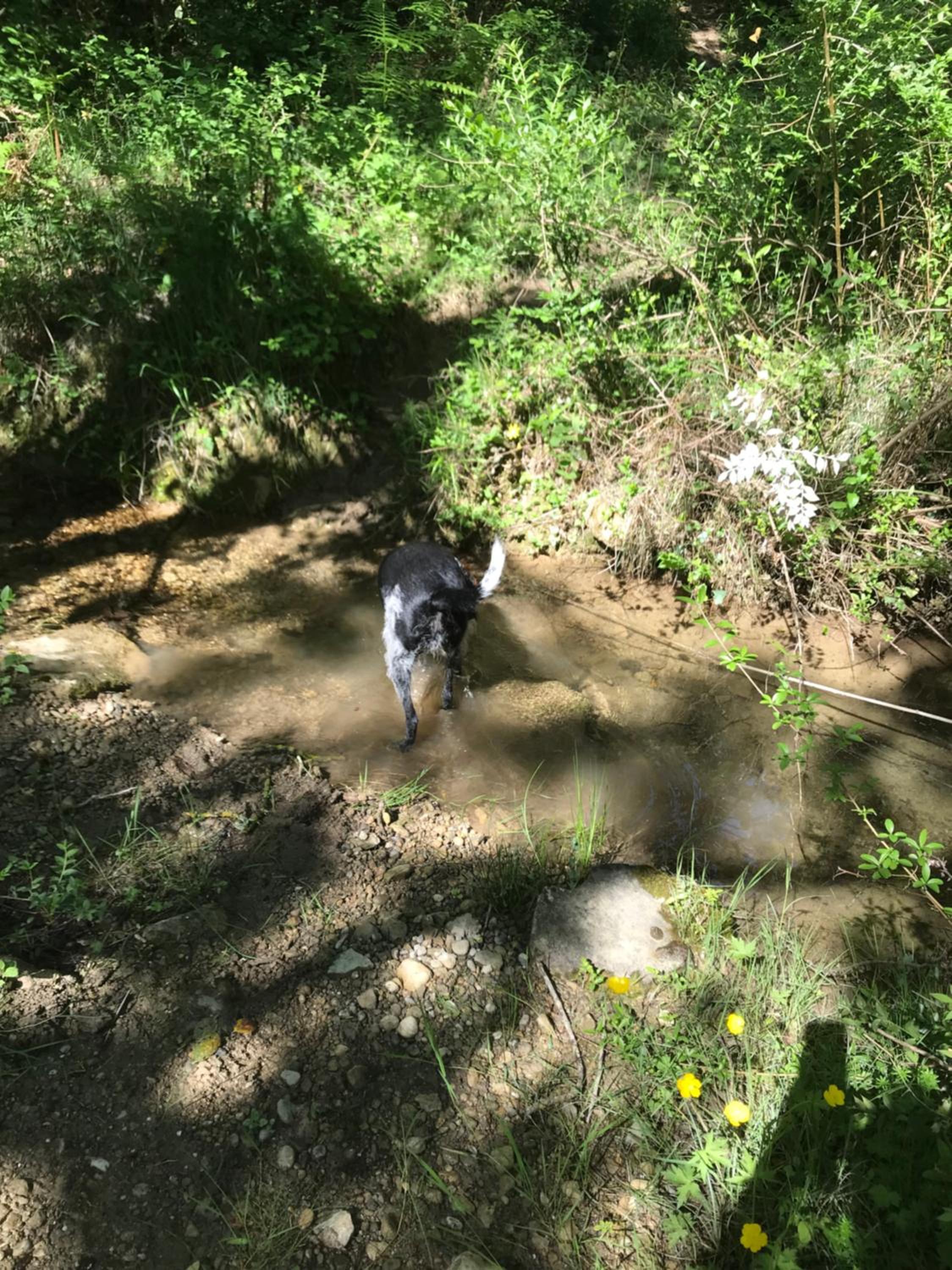 Photo 53
