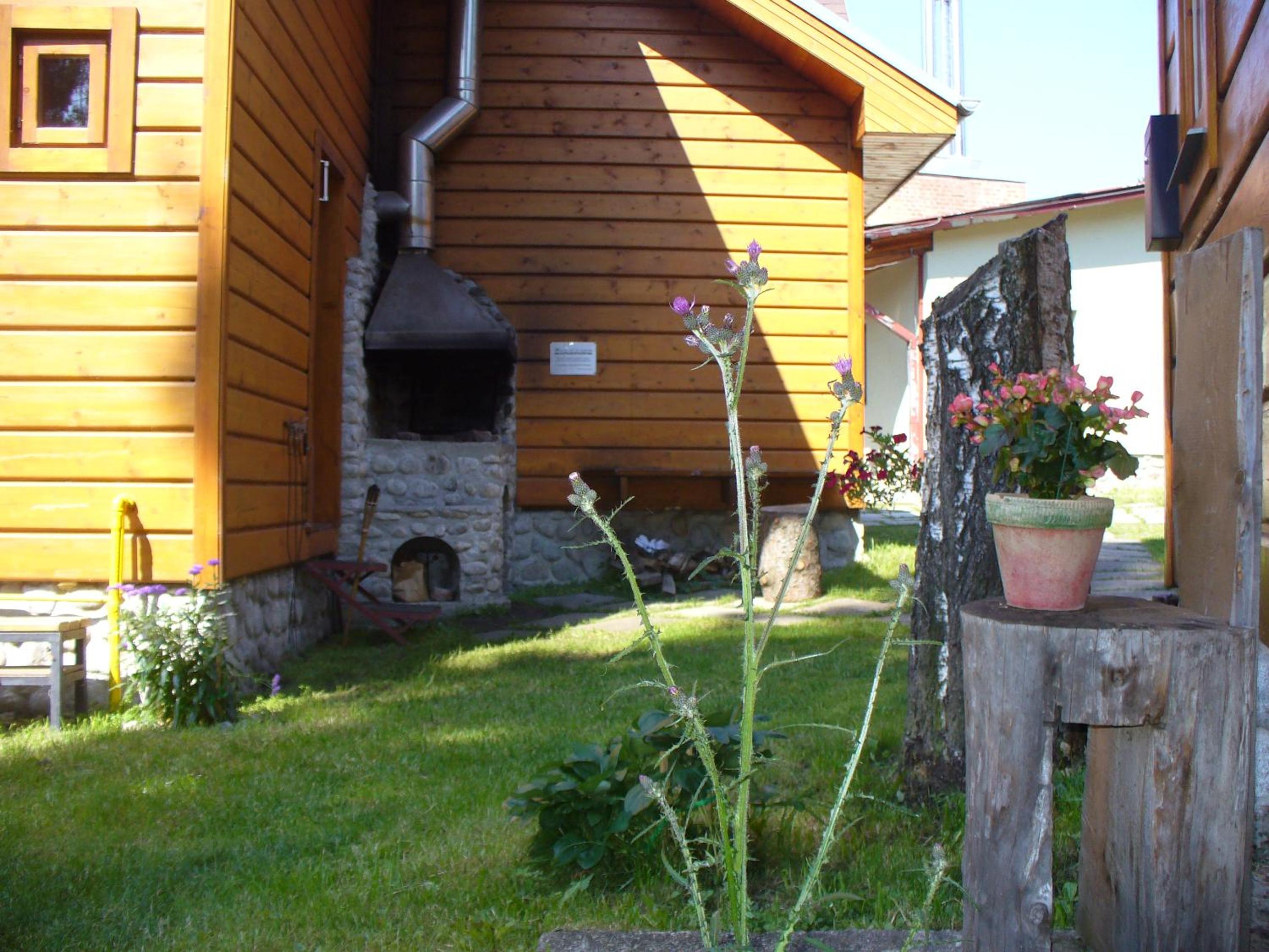 Photo 8