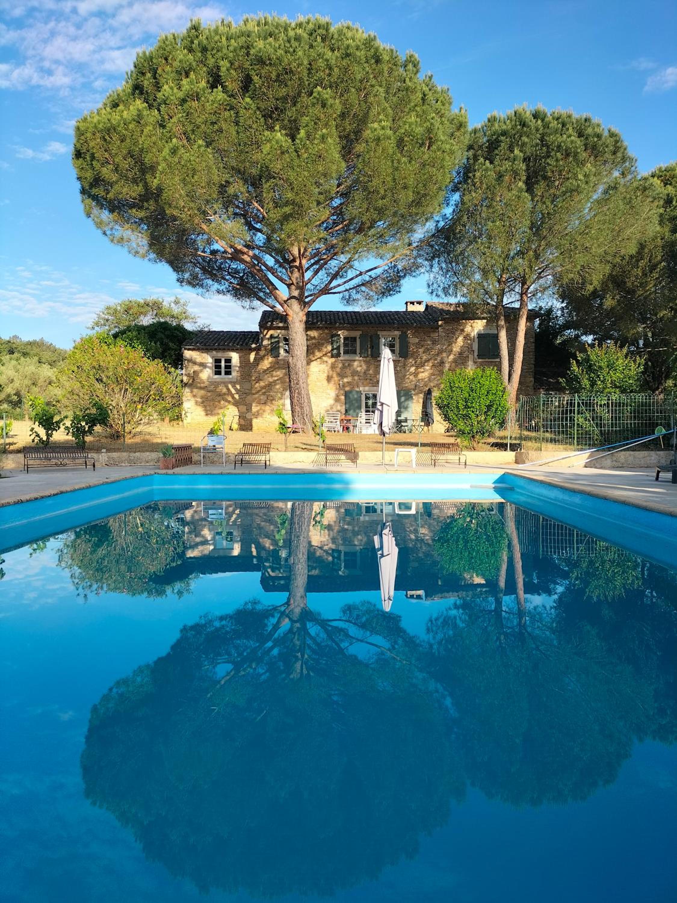 Chambre Olivette Mas Bel Esperance view 5