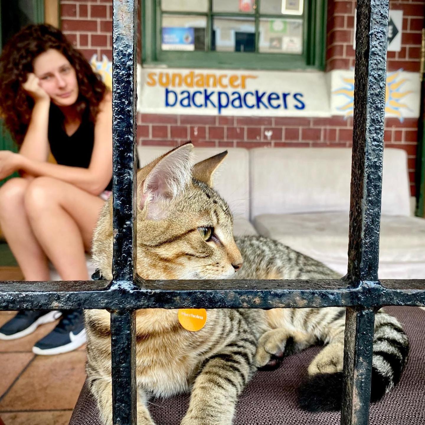Sundancer Backpackers Hostel