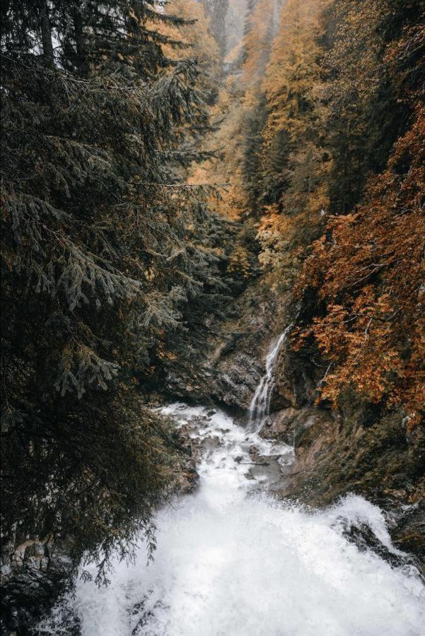 Photo 100